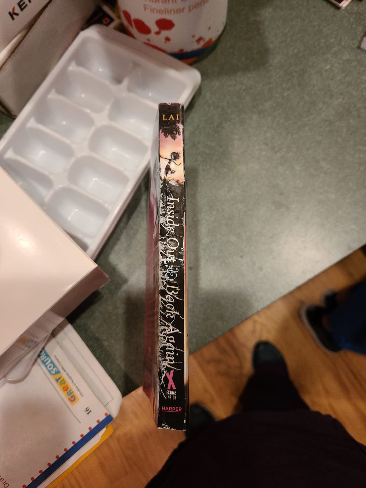 Inside Out and Back Again: A Newbery Honor Award Winner customer photo 2