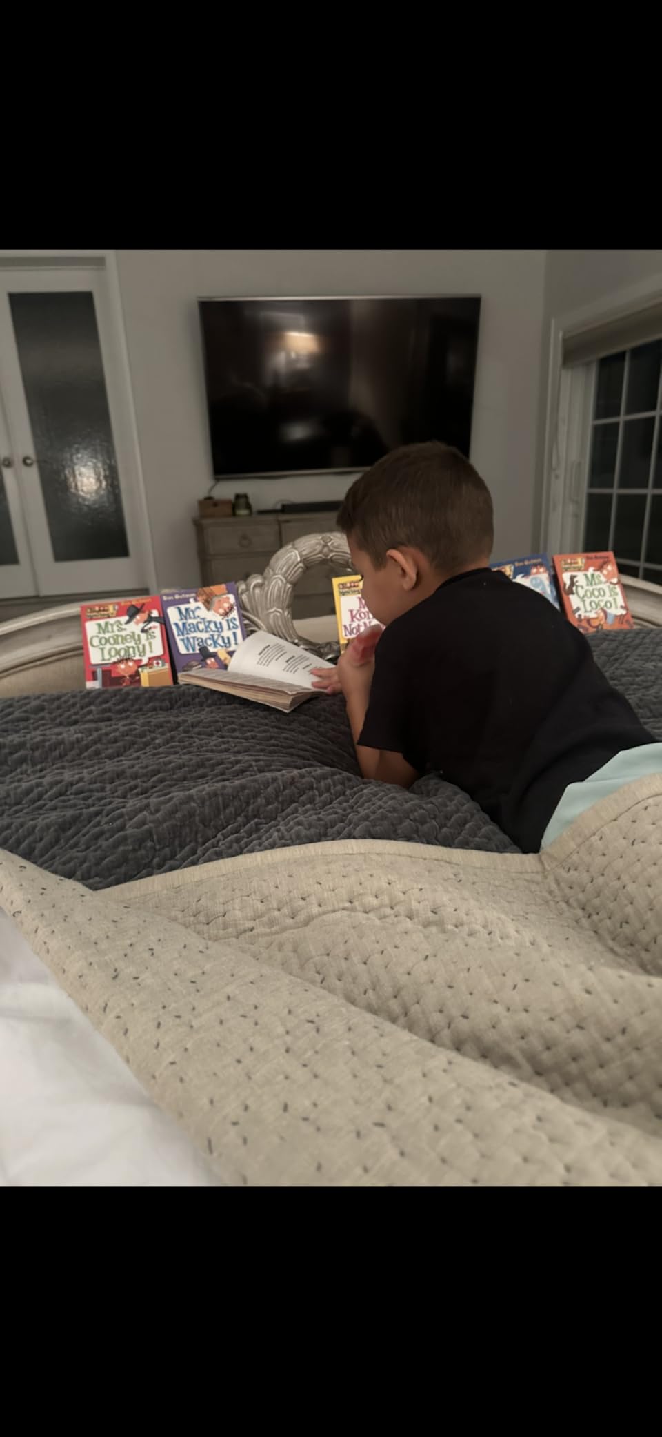 My Weird School Daze 12-Book Box Set: Books 1-12 customer photo 2