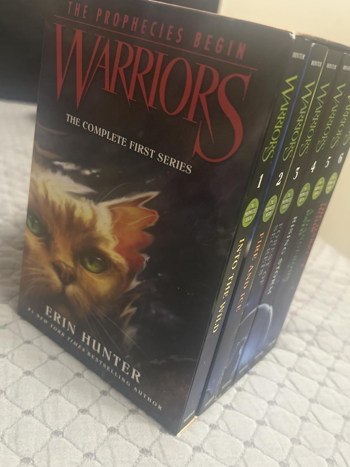 Warriors Box Set: Volumes 1 to 6: The Complete First Series (Warriors: The Prophecies Begin) customer photo 2