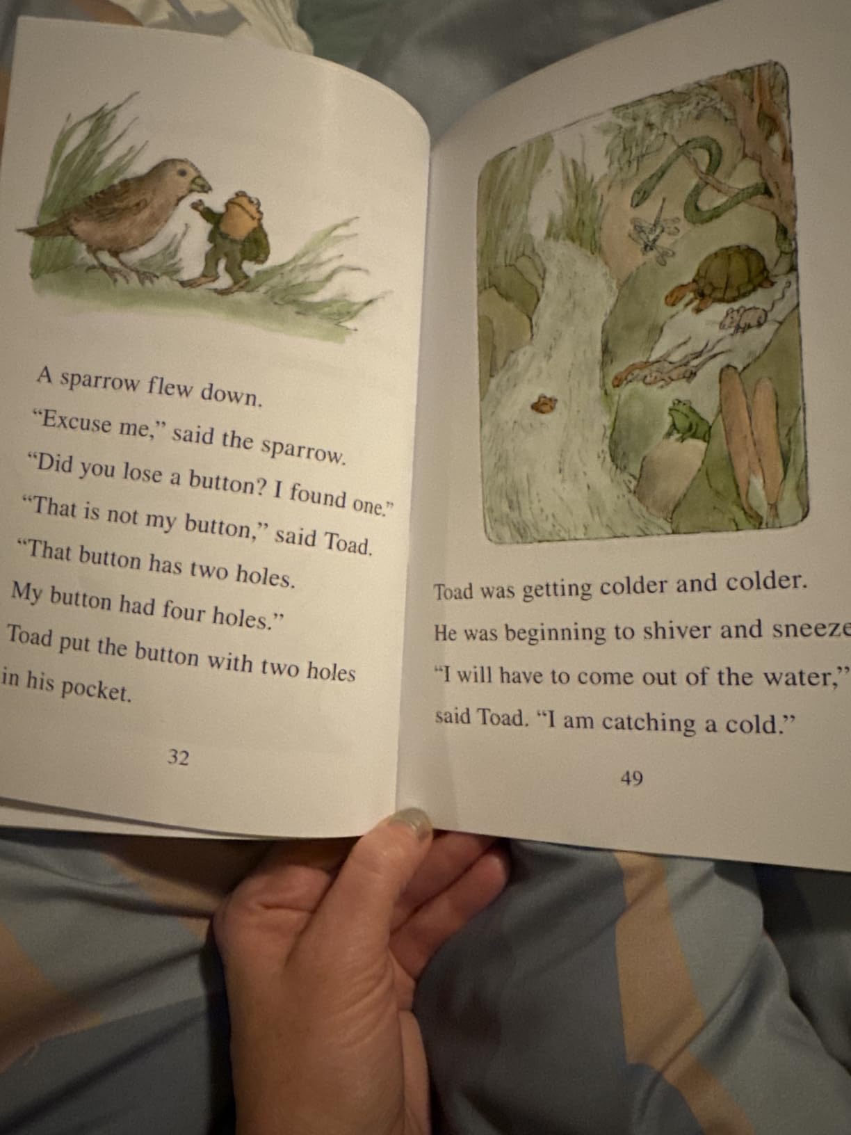 Frog and Toad: A Complete Reading Collection: A Box Set of all 4 Books From the Classic Animal Friendship and Adventure Series customer photo 1