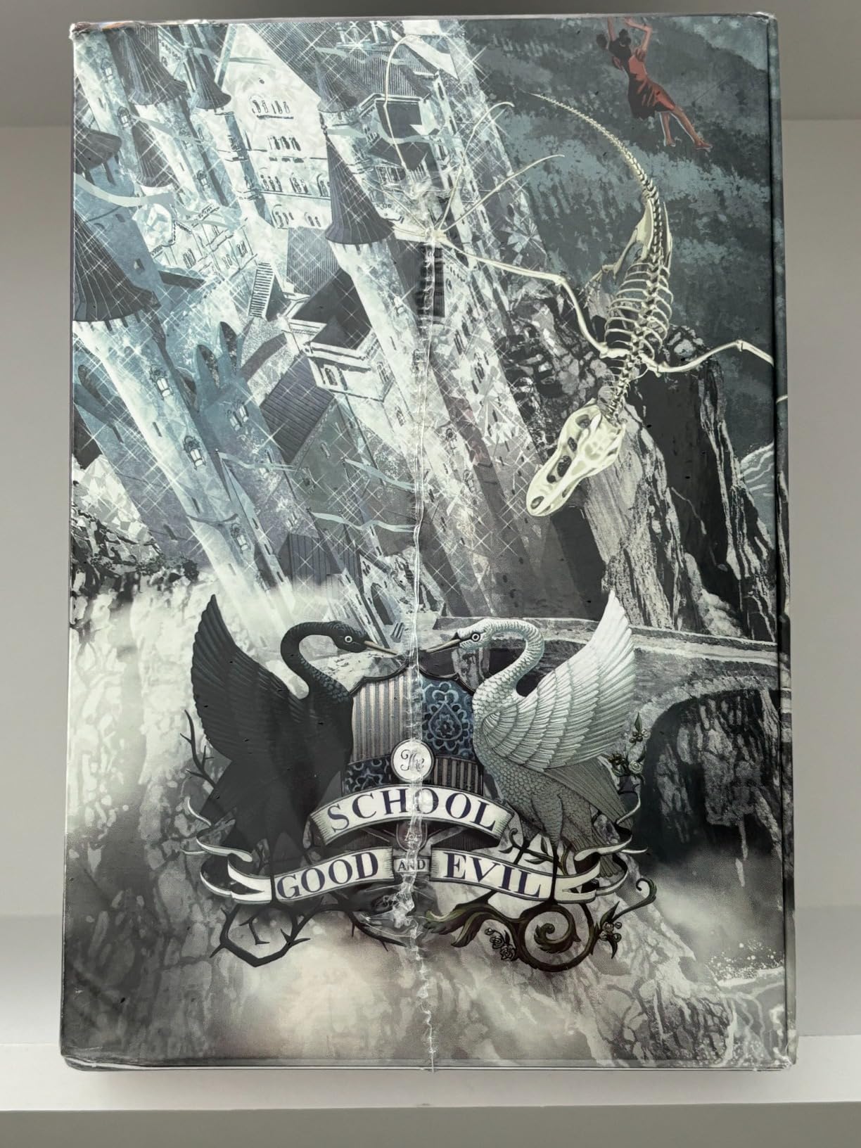 The School for Good and Evil: The Complete 6-Book Box Set: The School for Good and Evil, The School for Good and Evil: A World Without Princes, The School for Good and Evil: A School of Slashes, A School of Good and Evil: A Crystal of Time, The School for Good and Evil customer photo 1