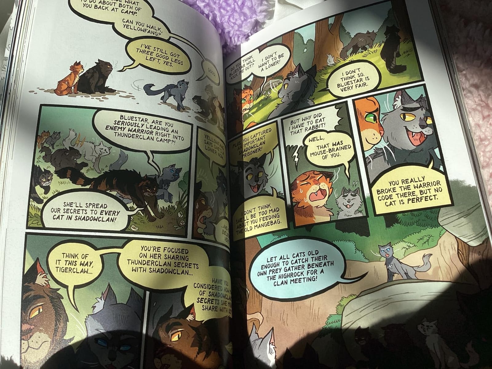 The Warriors Graphic Novel Box Set: The Prophecies Begin: The Complete First Arc, Books #1-#3 customer photo 2