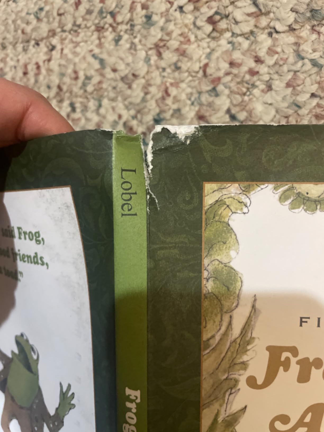 Frog and Toad Are Friends customer photo 1