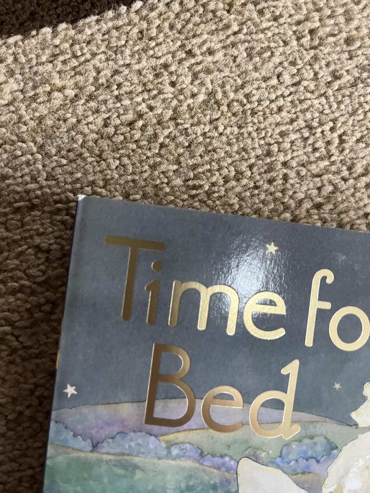 Time for Bed: A Soothing Bedtime Classic About Baby Animals Getting Tucked In customer photo 2
