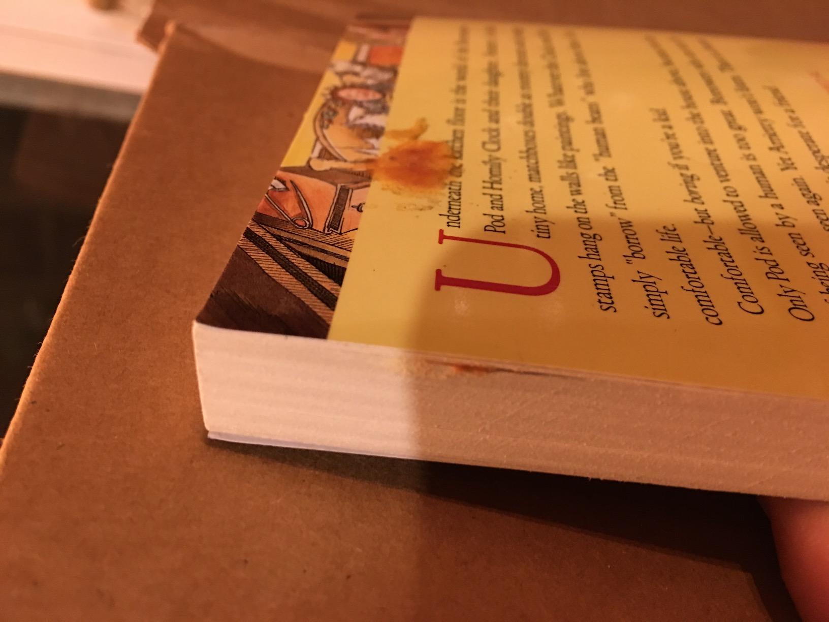 The Borrowers: An Enchanting Adventure About Tiny Heroes Living Beneath the Floorboards customer photo 1