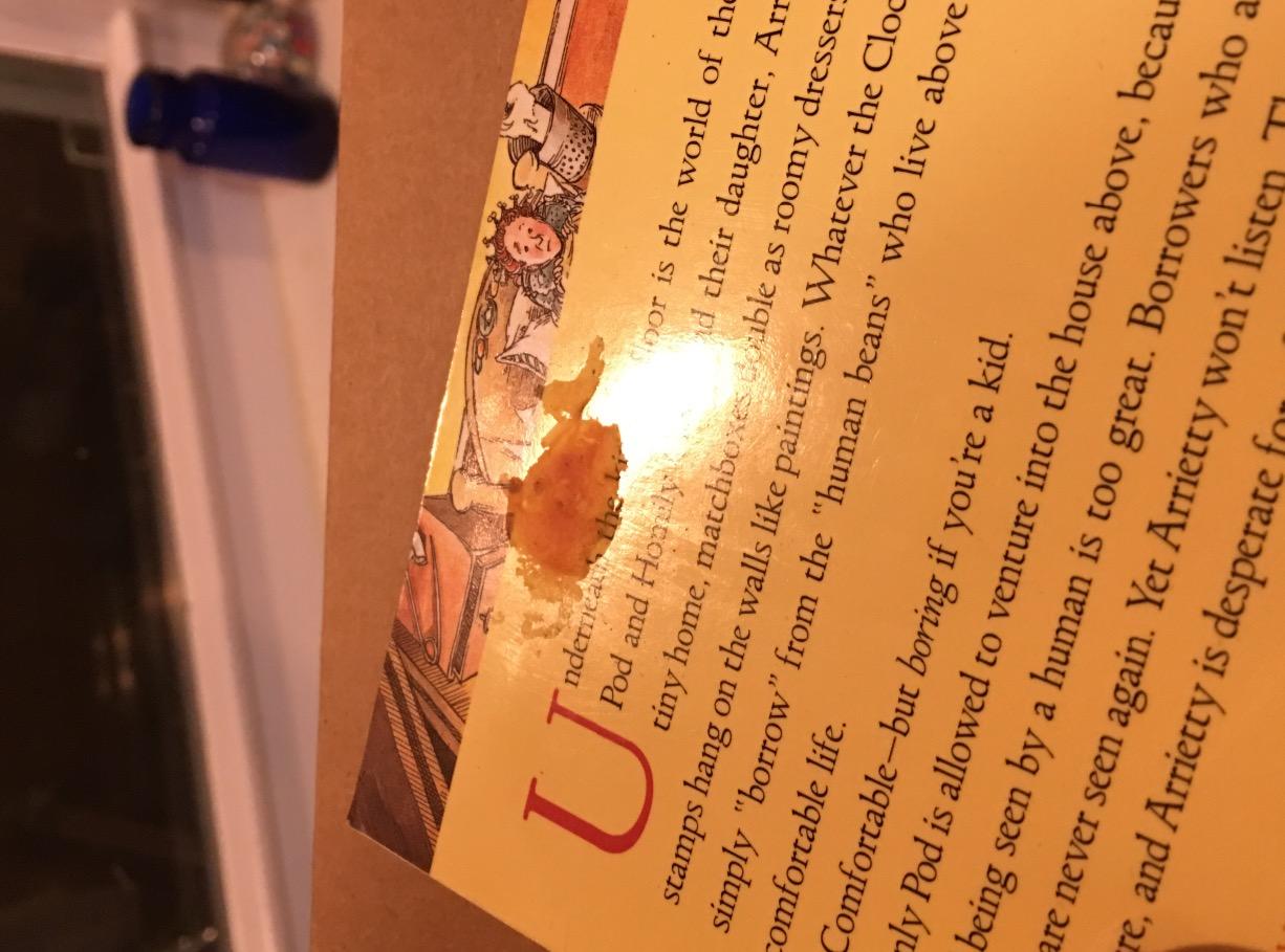The Borrowers: An Enchanting Adventure About Tiny Heroes Living Beneath the Floorboards customer photo 2