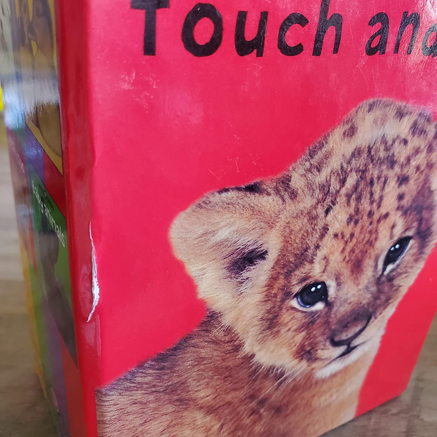 Boxed Set (Bright Baby Touch and Feel): On the Farm, Baby Animals, At the Zoo and Perfect Pets customer photo 2