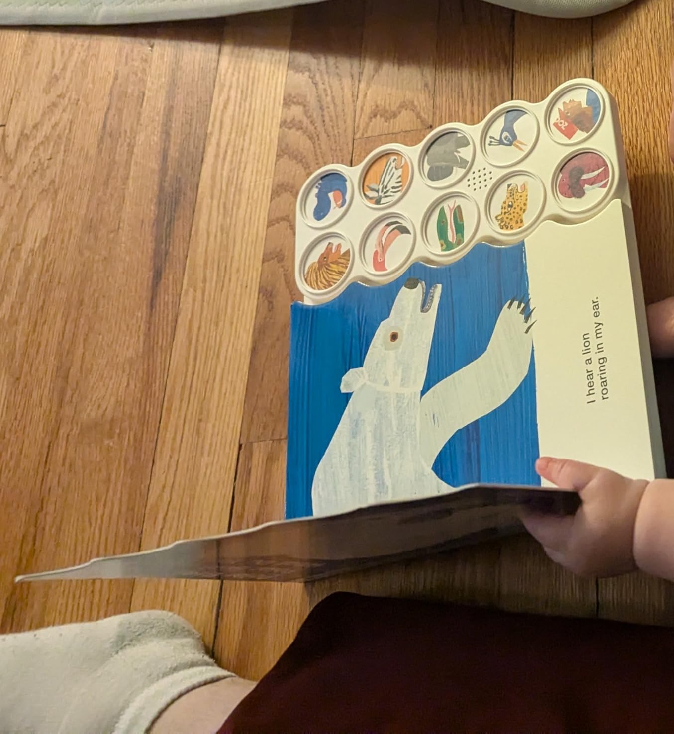 Polar Bear, Polar Bear, What Do You Hear? Sound Book (Brown Bear and Friends): A noisy board book edition of the classic Eric Carle picture book customer photo 2