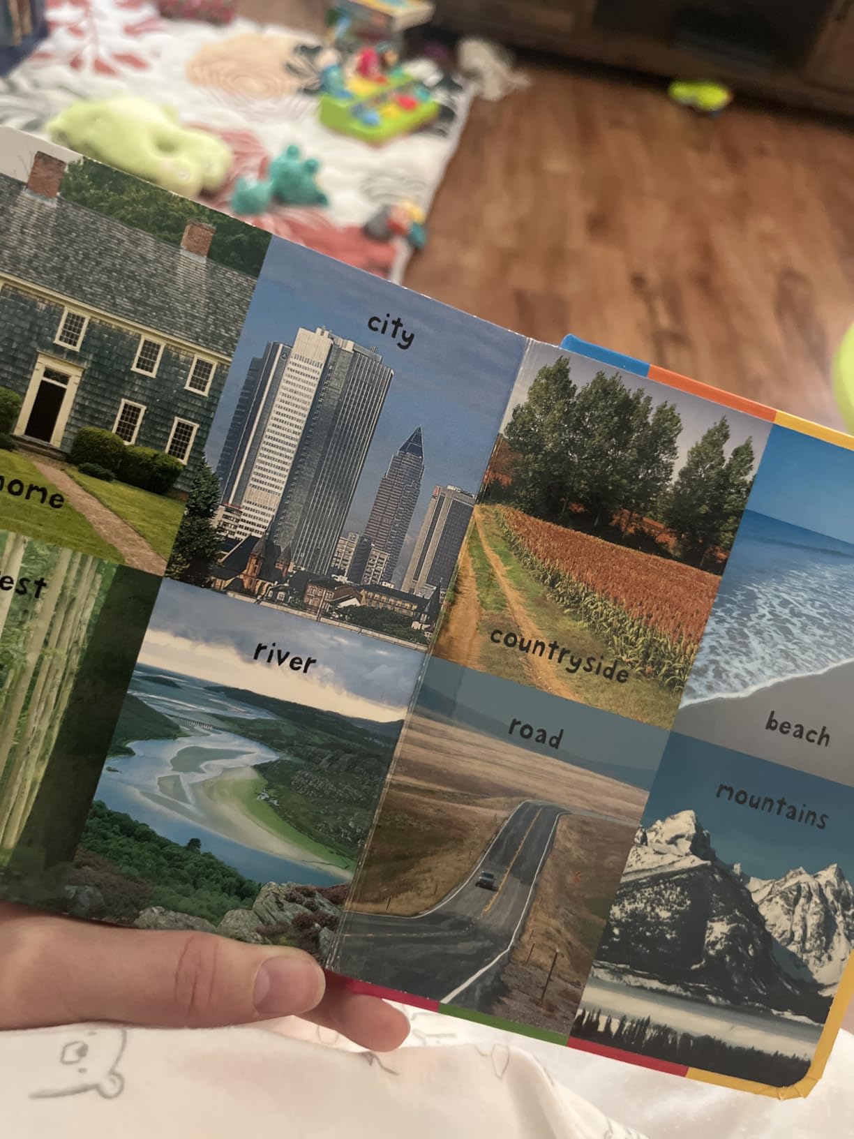 First 100 Board Book Box Set (3 books): First 100 Words, Numbers Colors Shapes, and First 100 Animals customer photo 2
