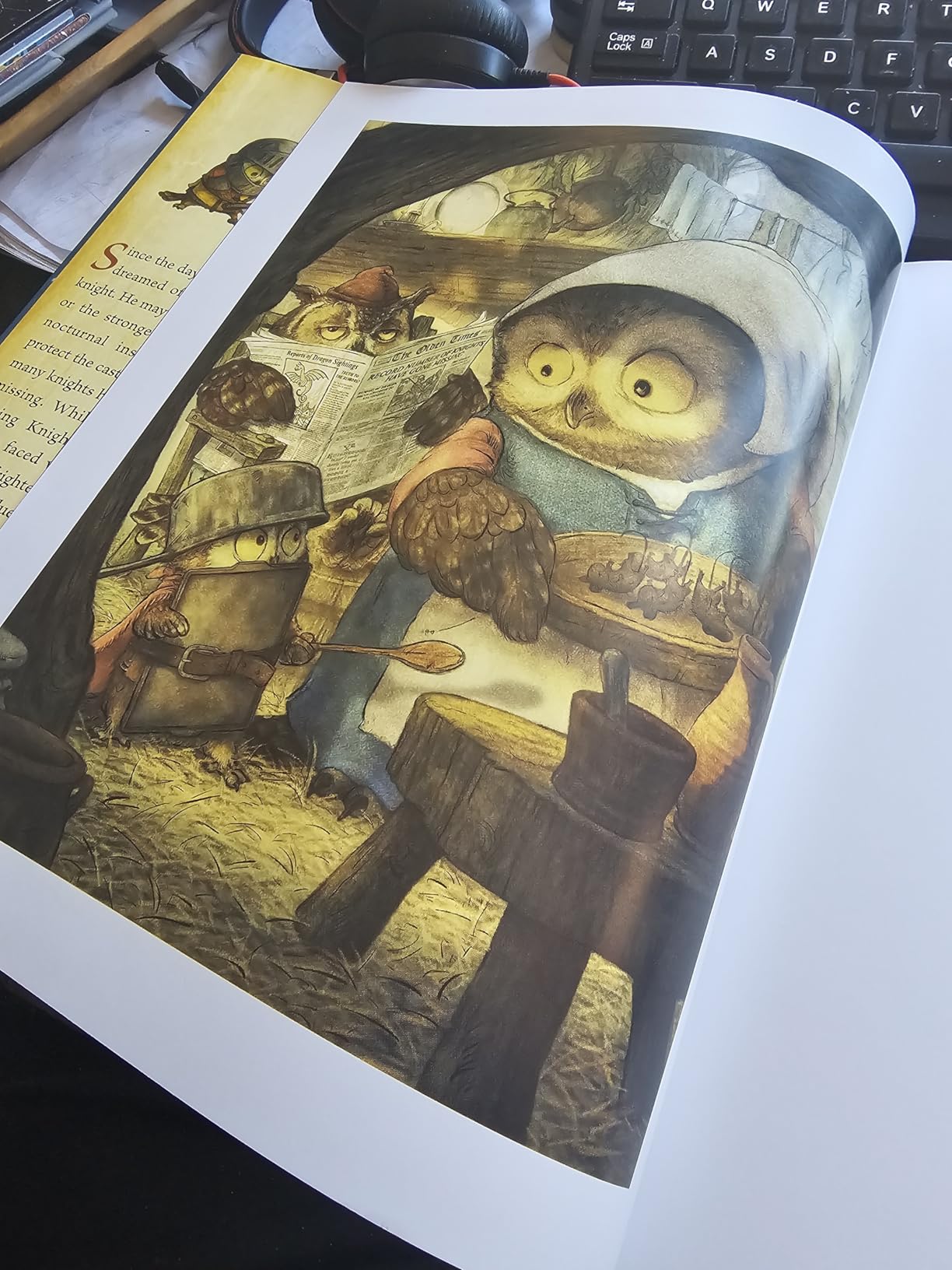 Knight Owl (Caldecott Honor Award Winner) (The Knight Owl Series, 1) customer photo 2