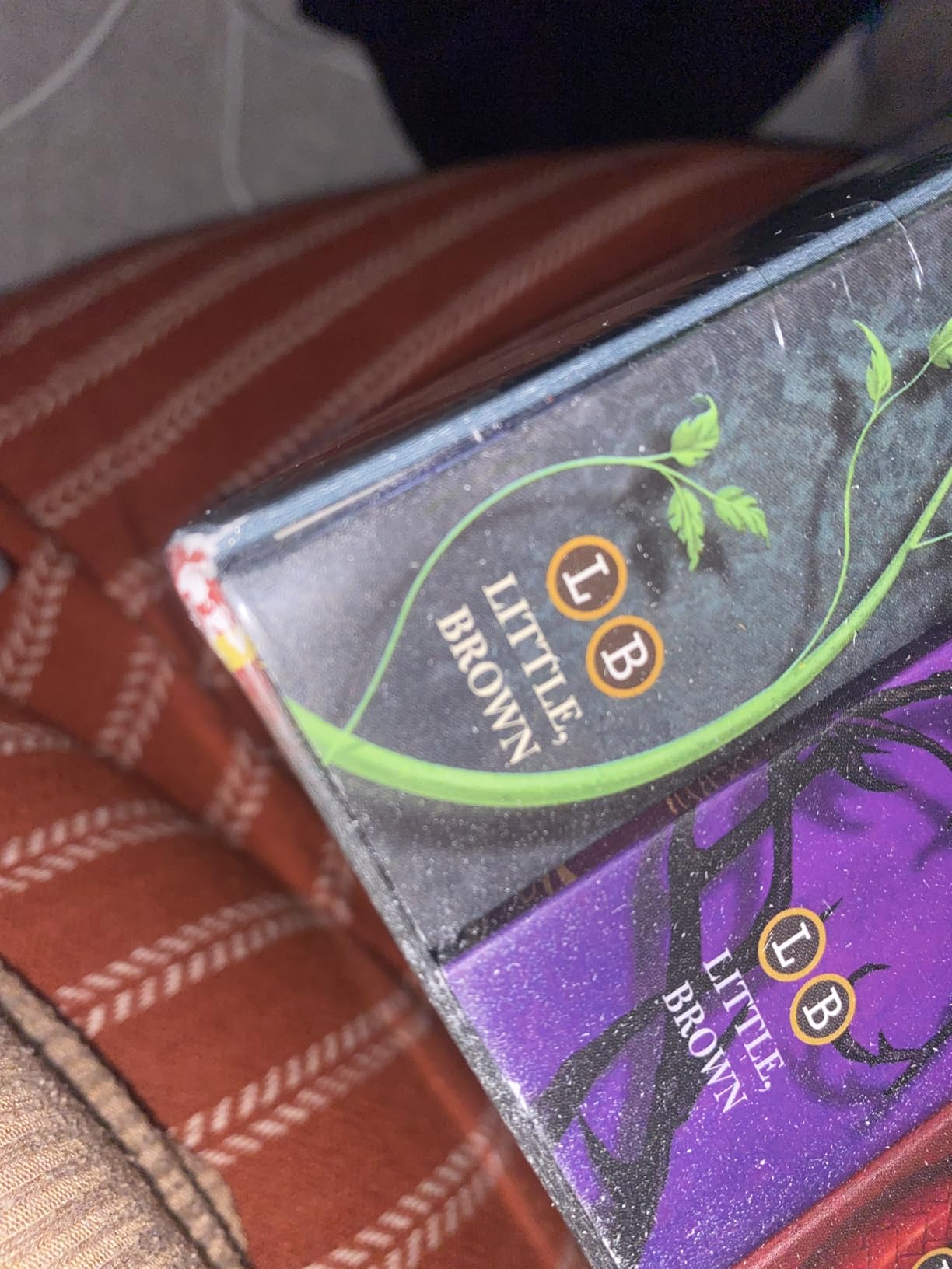 The Land of Stories Complete Paperback Gift Set customer photo 2