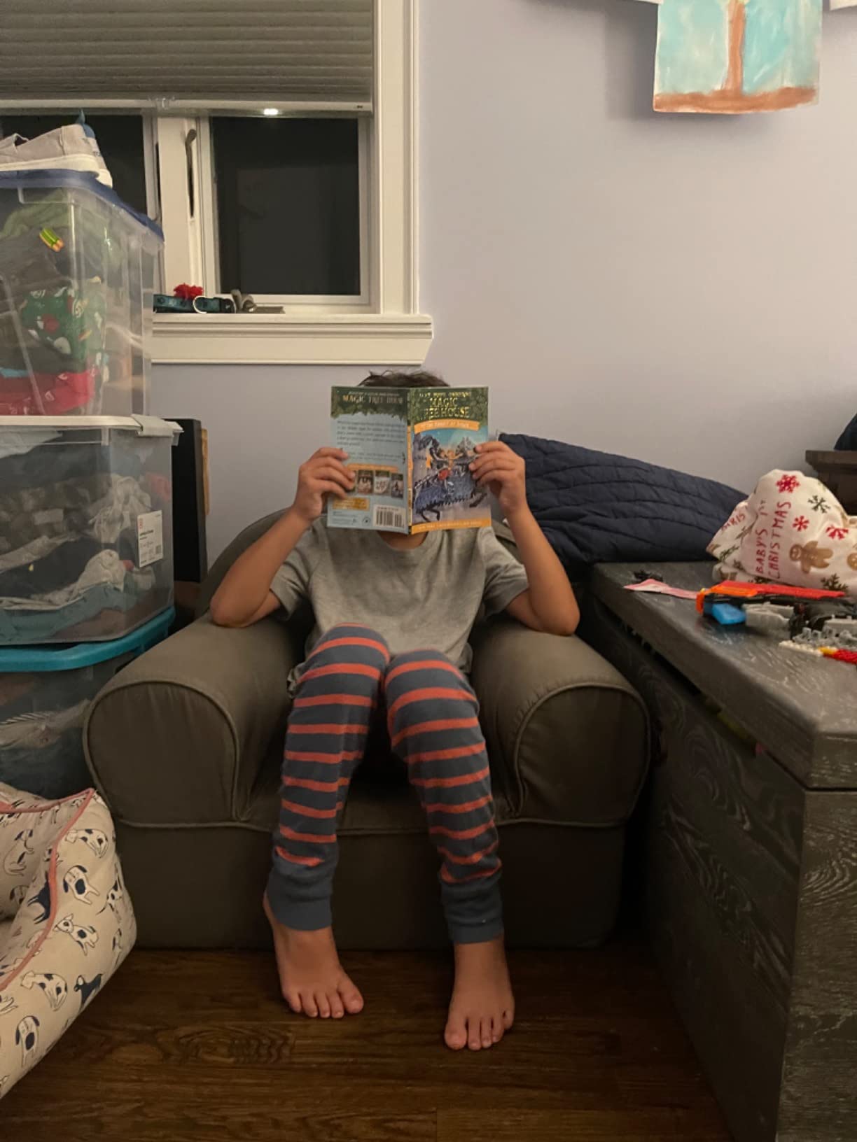 Magic Tree House Boxed Set, Books 1-4: Dinosaurs Before Dark, The Knight at Dawn, Mummies in the Morning, and Pirates Past Noon customer photo 1