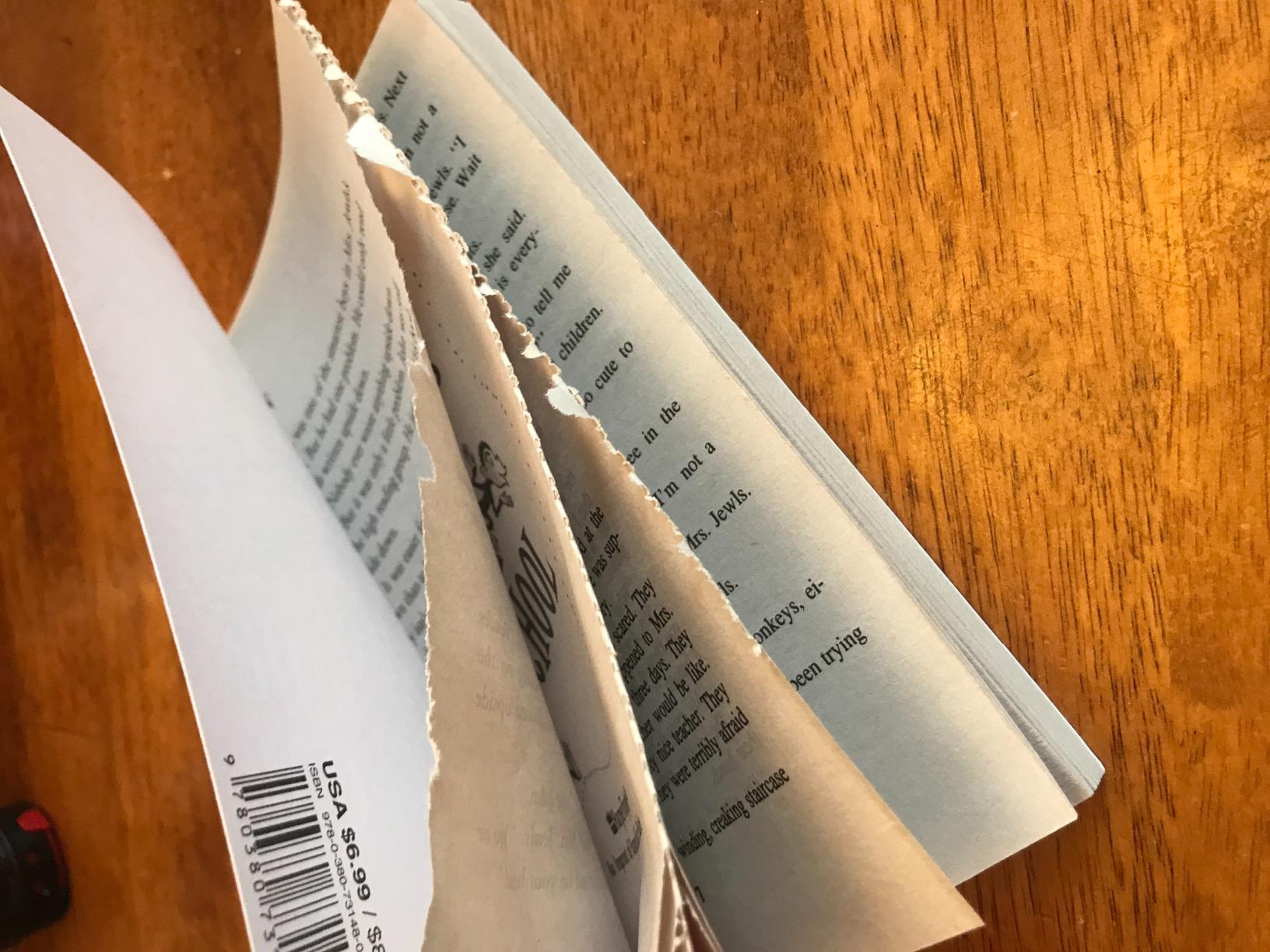 Sideways Stories from Wayside School customer photo 1