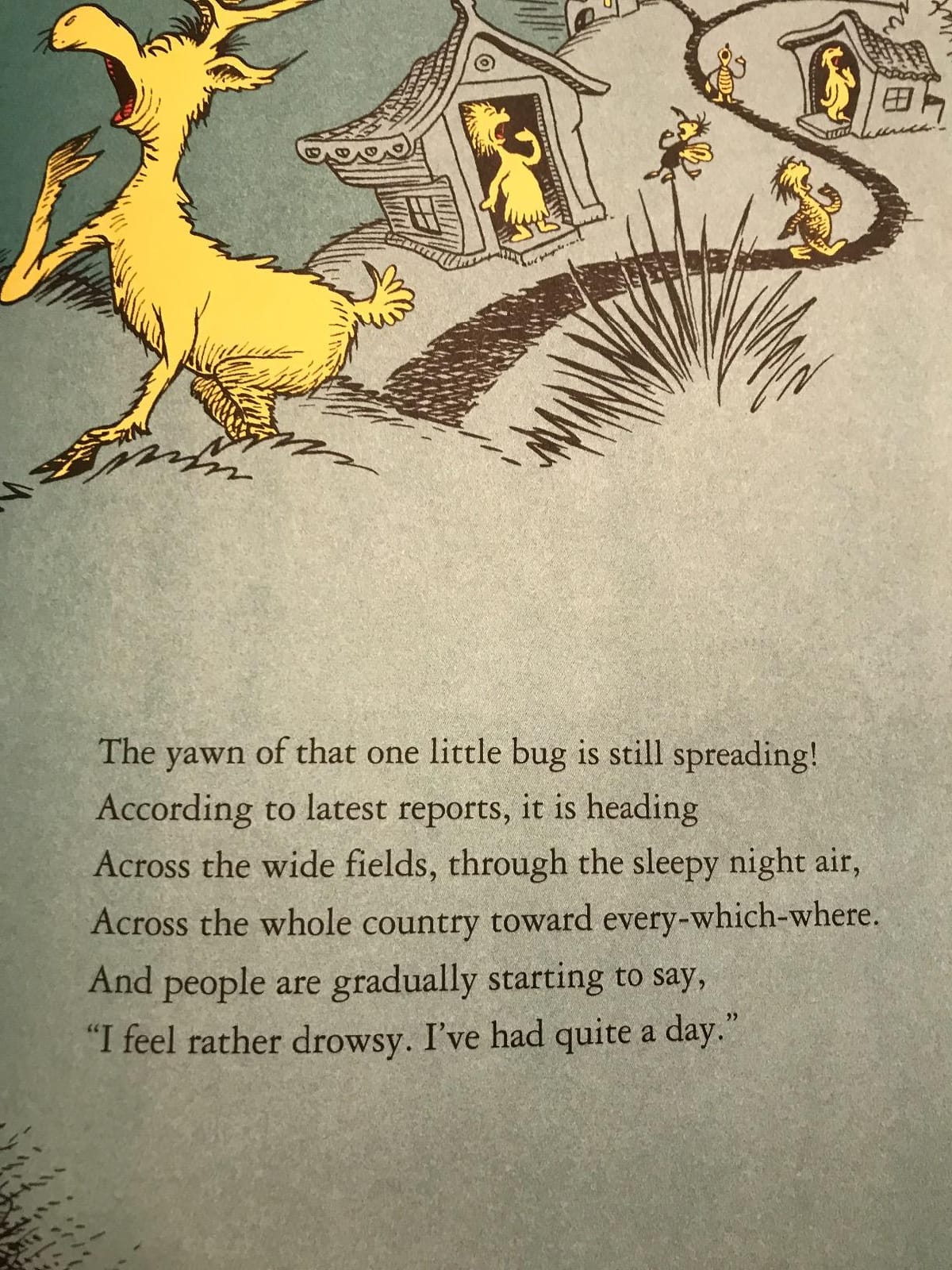 Dr Seuss's Sleep Book customer photo 1