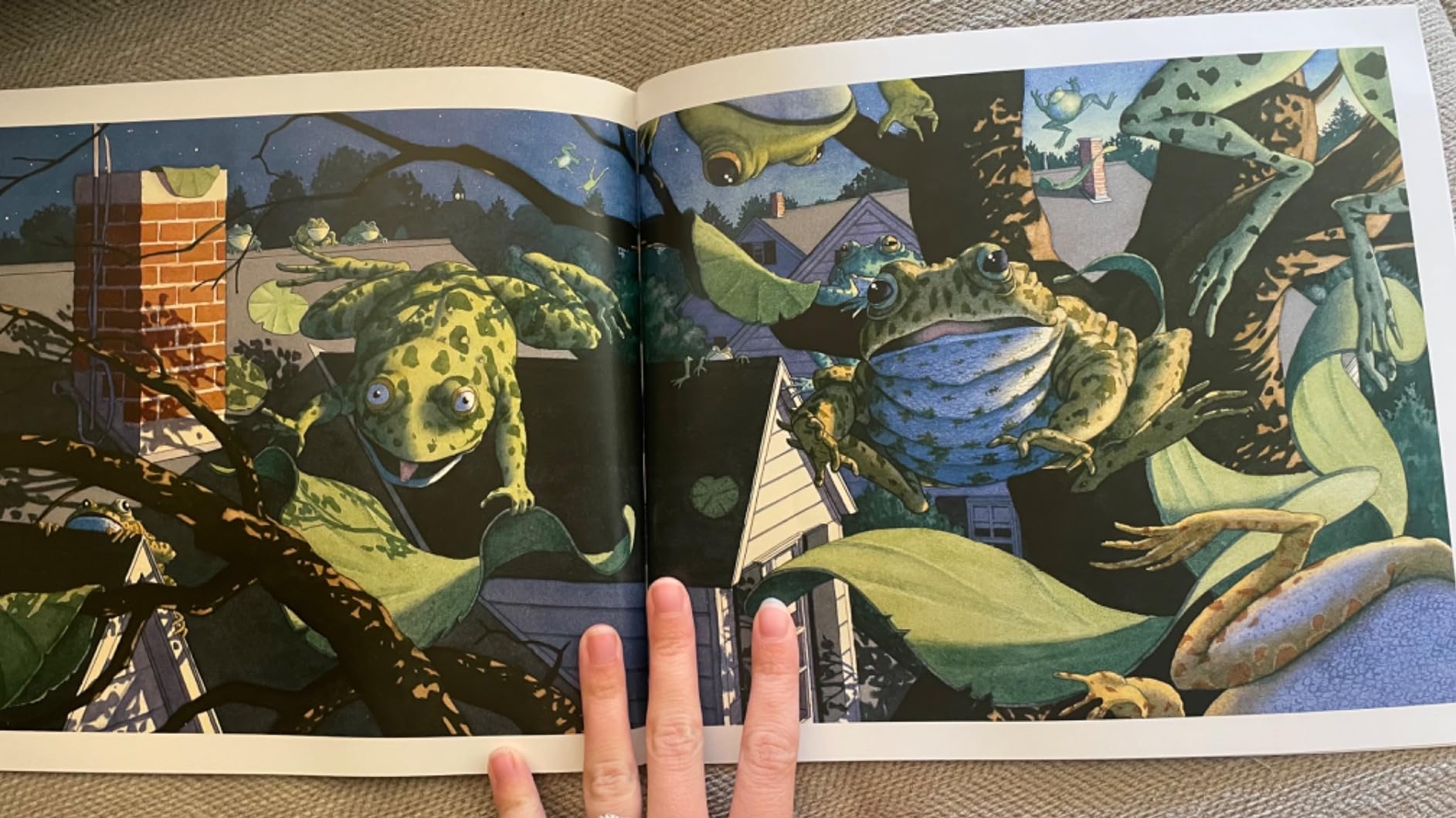Tuesday: A Whimsical Frog Story Classic About Flying Through the Night on a Magical Tuesday customer photo 2