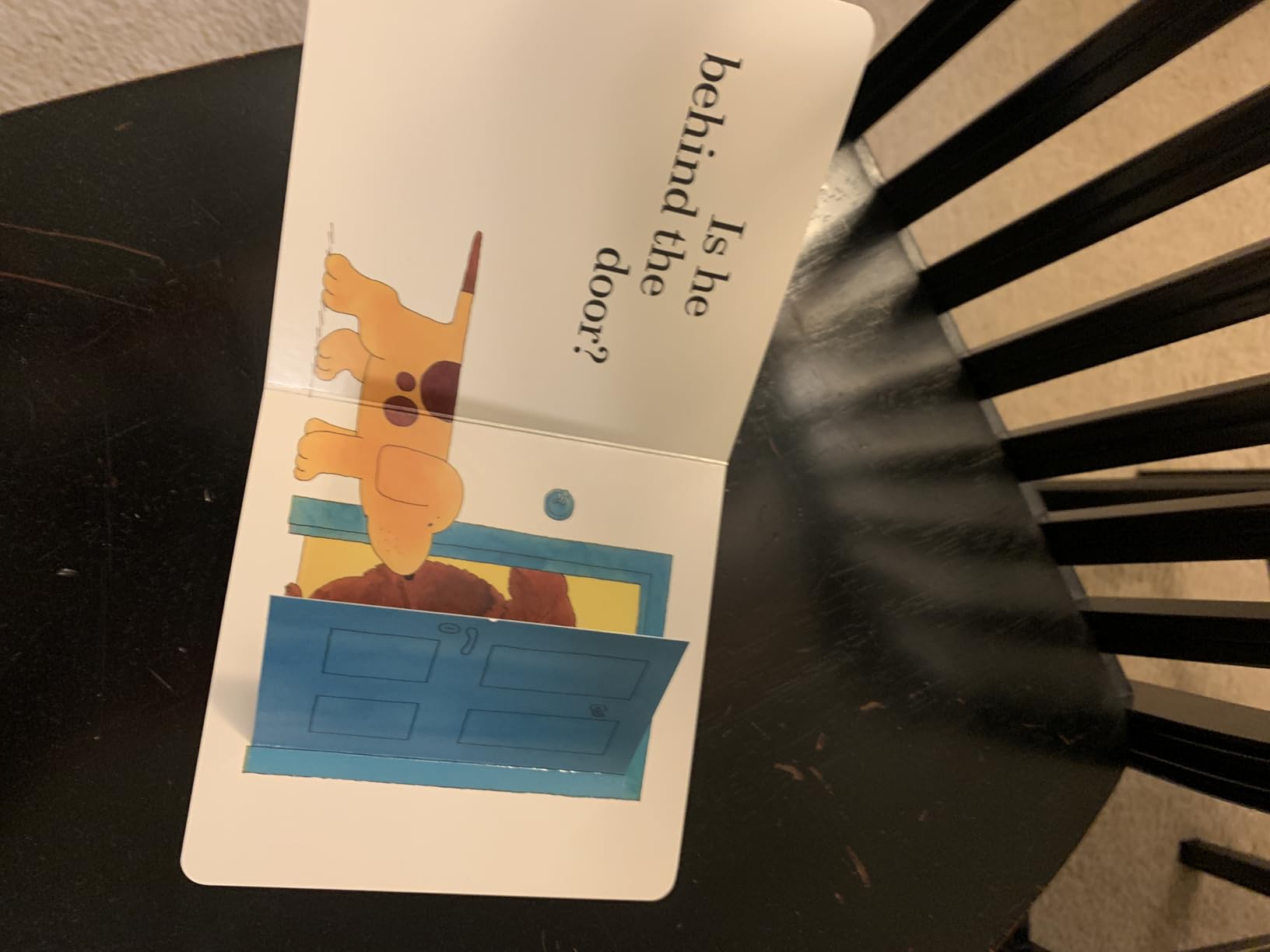 Where's Spot?: A Lift-the-Flap Book customer photo 1