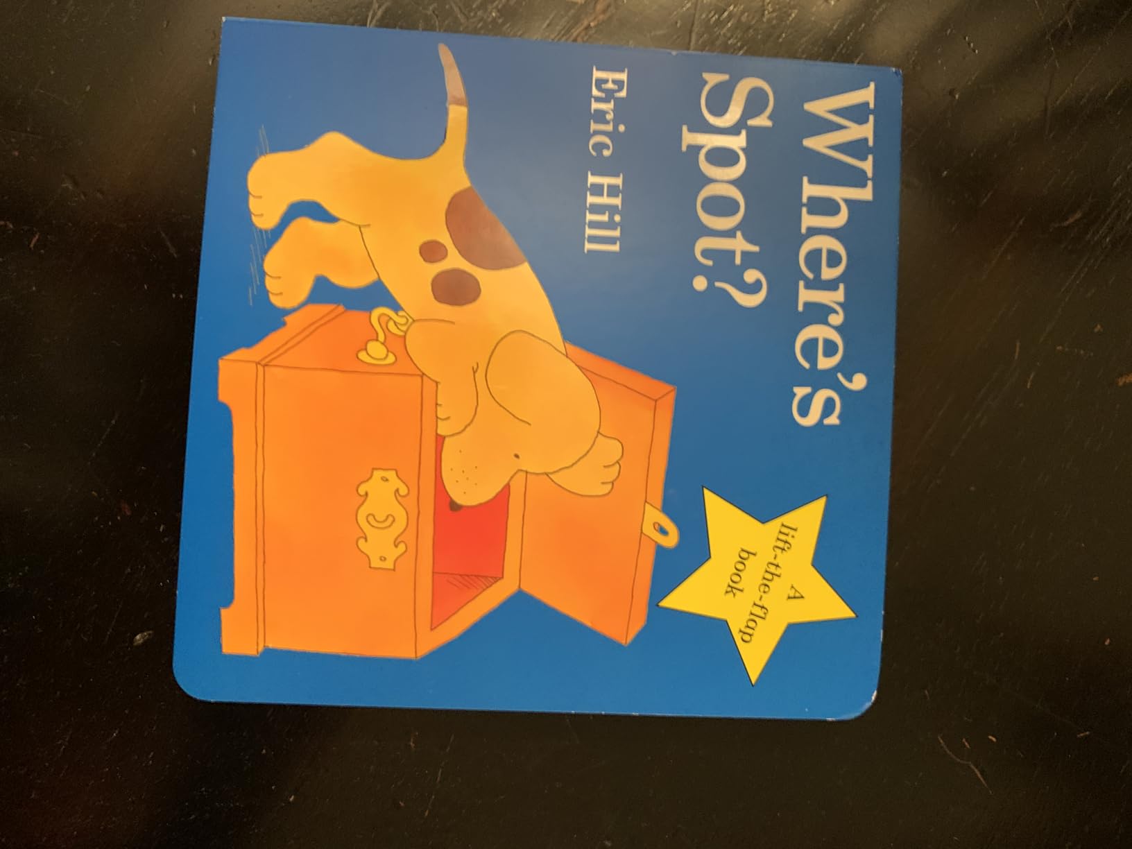 Where's Spot?: A Lift-the-Flap Book customer photo 2