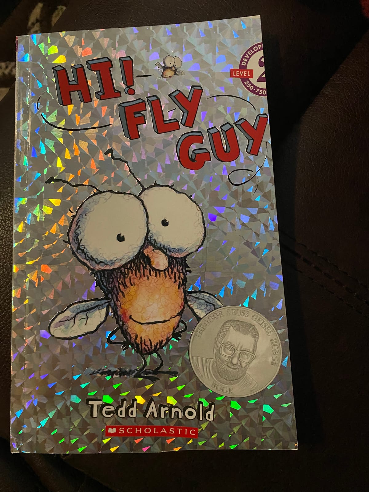Hi! Fly Guy customer photo 1