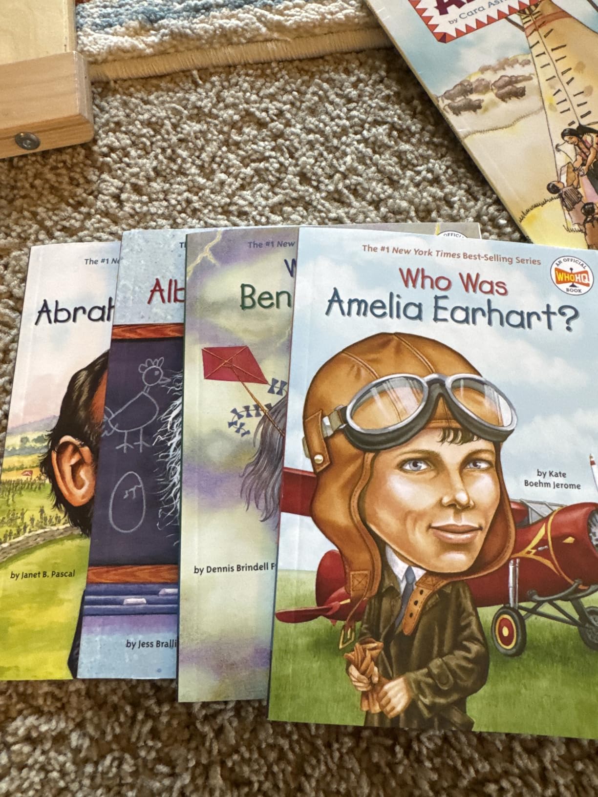 Who Was Amelia Earhart? customer photo 1