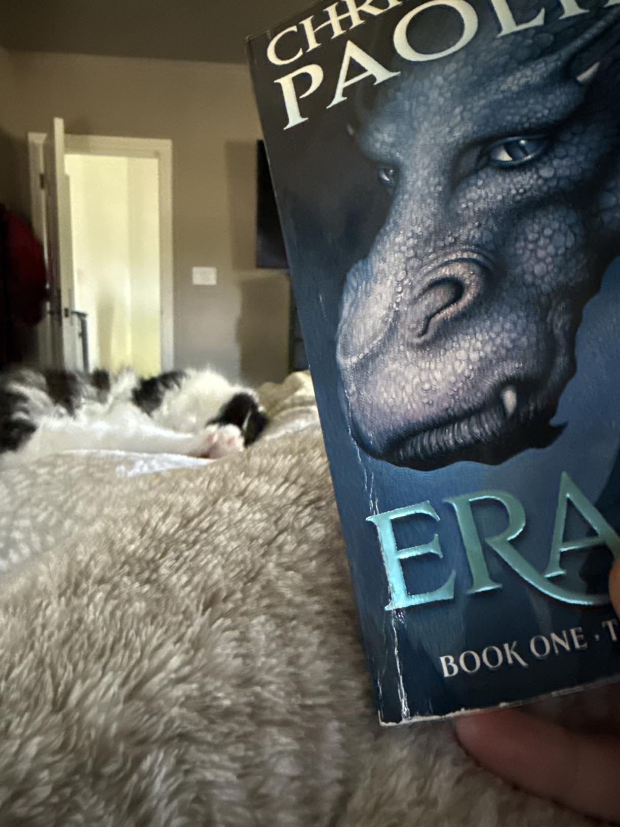 The Inheritance Cycle 4-Book Trade Paperback Boxed Set: Eragon; Eldest; Brisingr; Inheritance customer photo 1