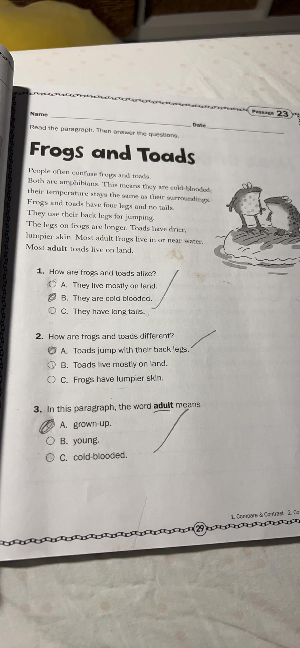 Comprehension Skills: 40 Short Passages for Close Reading: Grade 2 customer photo 2