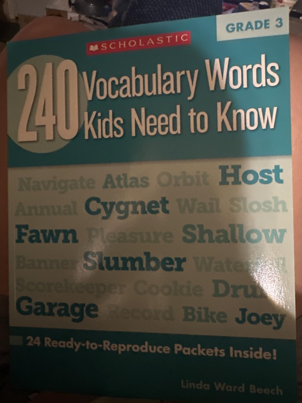 240 Vocabulary Words Kids Need to Know: Grade 3: 24 Ready-to-reproduce Packets That Make Vocabulary Building Fun & Effective customer photo 1
