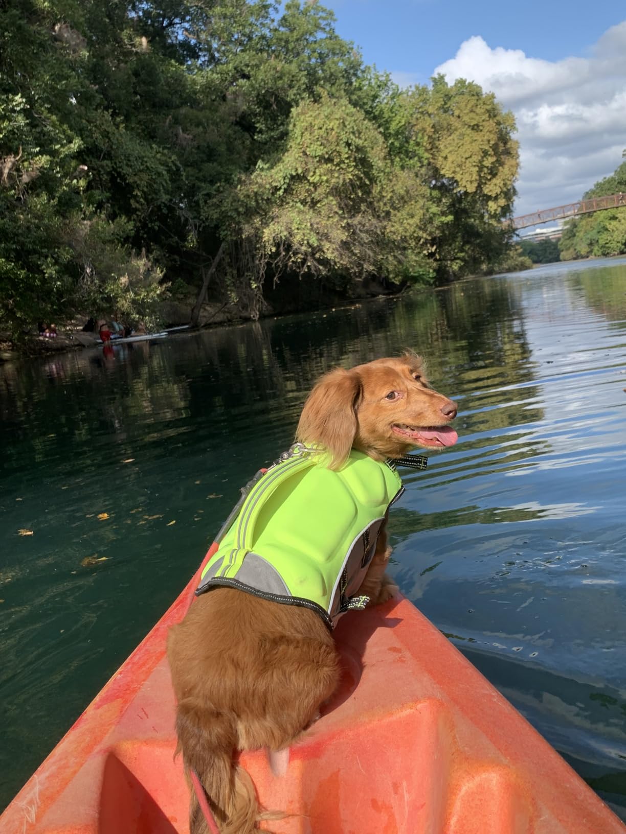 Hot Dog: (Winner of the 2023 Caldecott Medal) customer photo 2