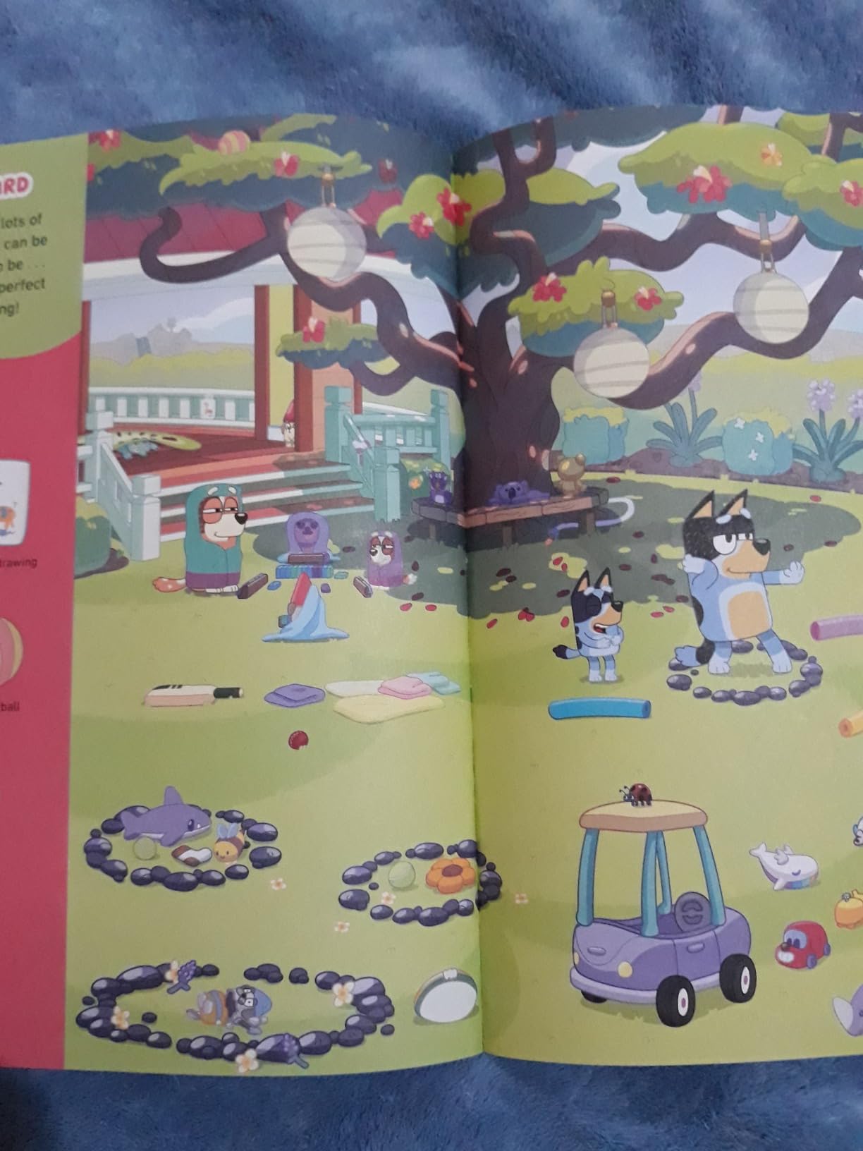 Where's Bluey?: A Search-and-Find Book customer photo 2