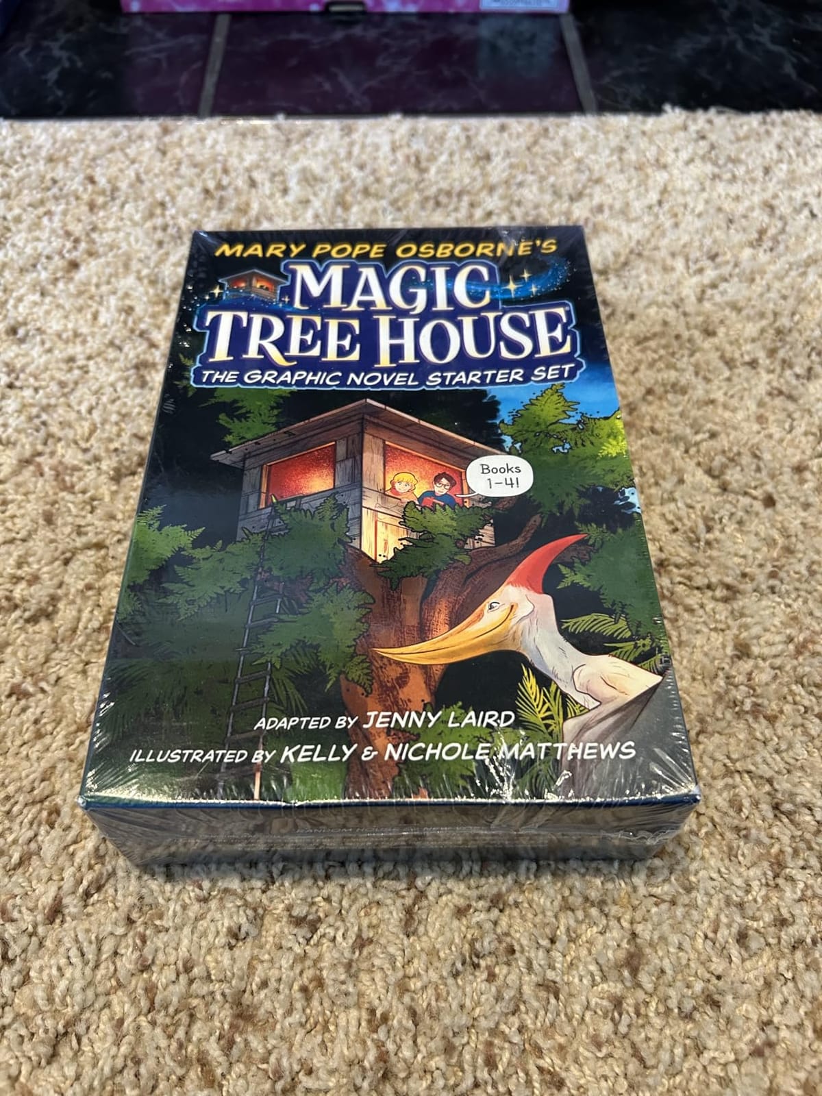 Magic Tree House Graphic Novel Starter Set: (A Graphic Novel Boxed Set) customer photo 1