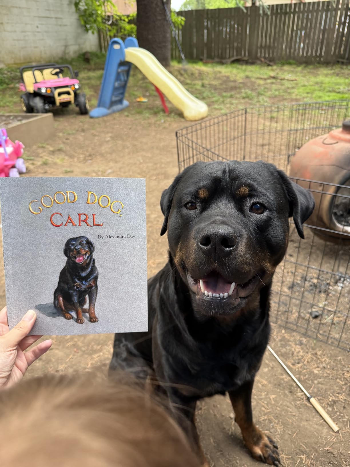 Good Dog, Carl : A Classic Board Book customer photo 1