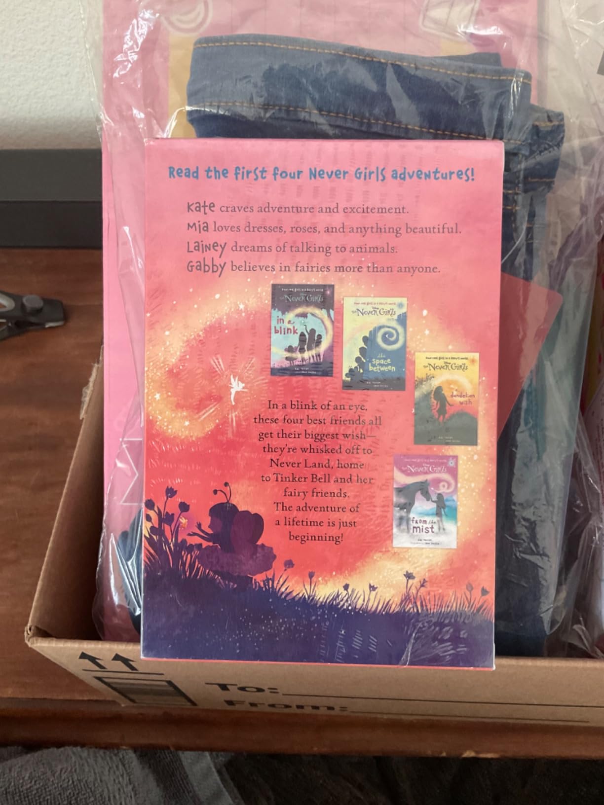 RH/Disney, The Never Girls Collection #1: Books 1-4 customer photo 1