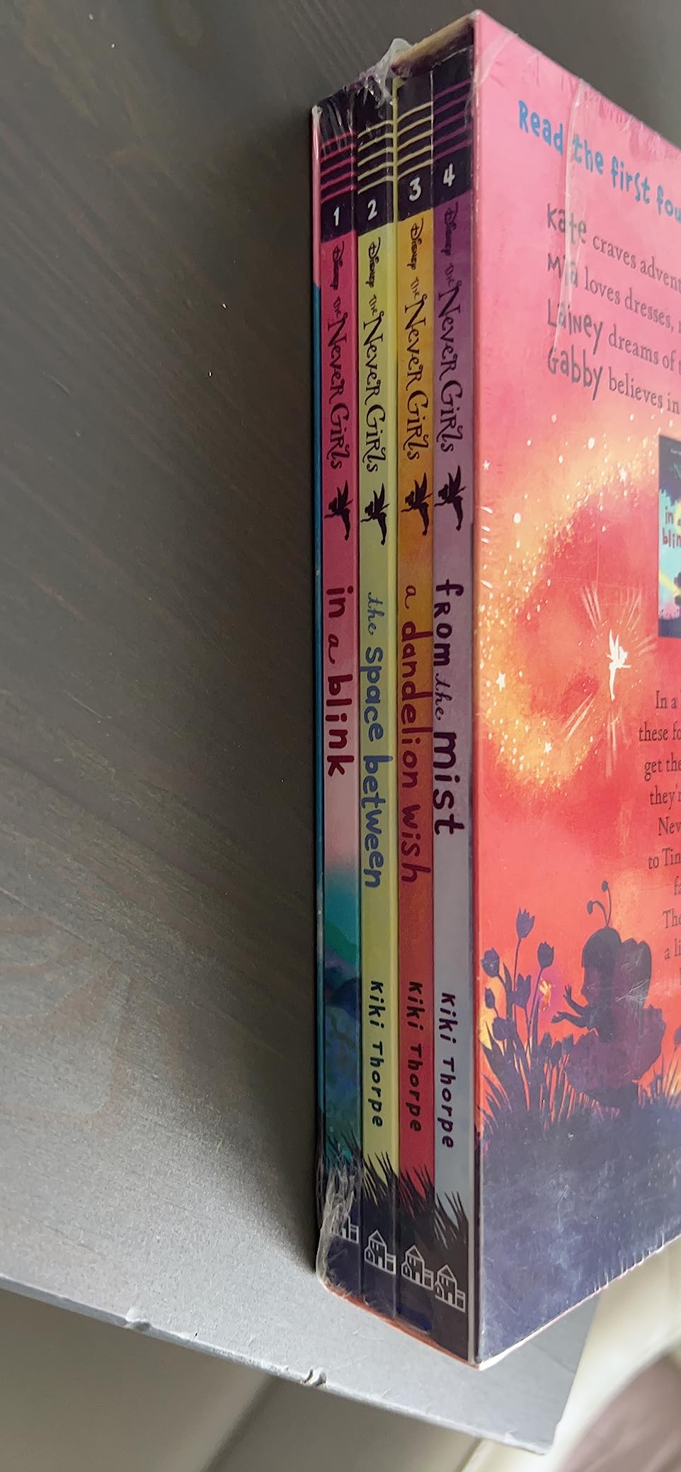 RH/Disney, The Never Girls Collection #1: Books 1-4 customer photo 2