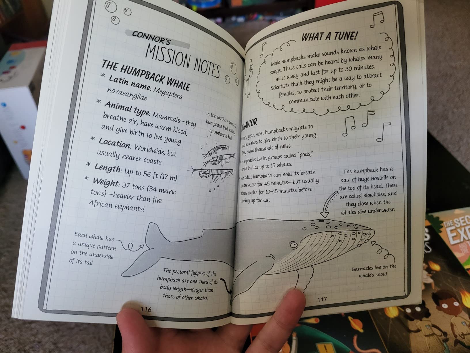 Adventures with The Secret Explorers: Collection One: 4-Book Box Set of Educational Fiction Chapter Books customer photo 1