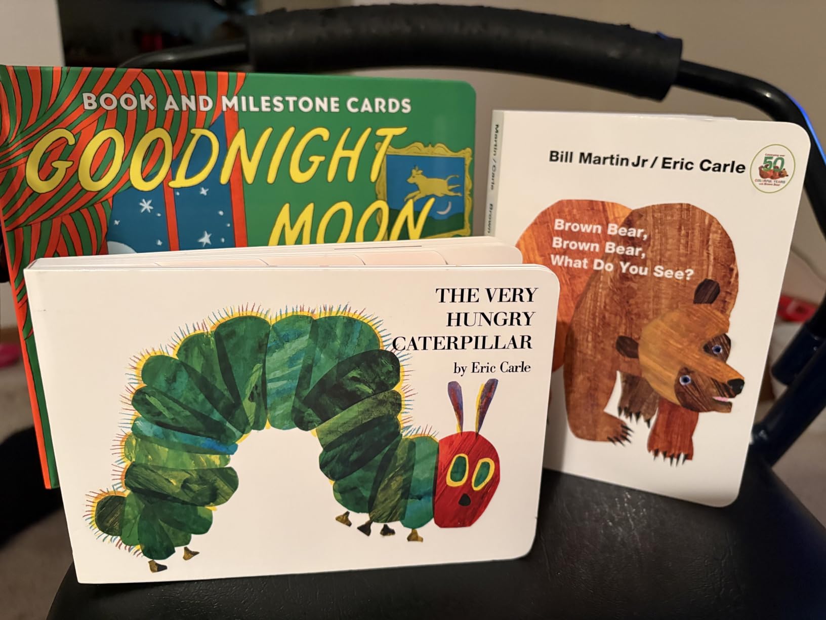 Brown Bear, Brown Bear, What Do You See?: 50th Anniversary Edition customer photo 2