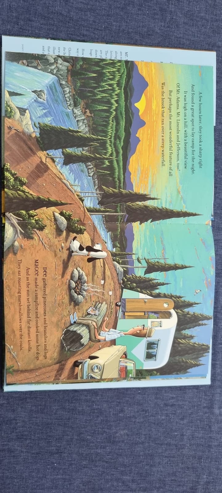 A Camping Spree with Mr. Magee: (Read Aloud Books, Series Books for Kids, Books for Early Readers) customer photo 1
