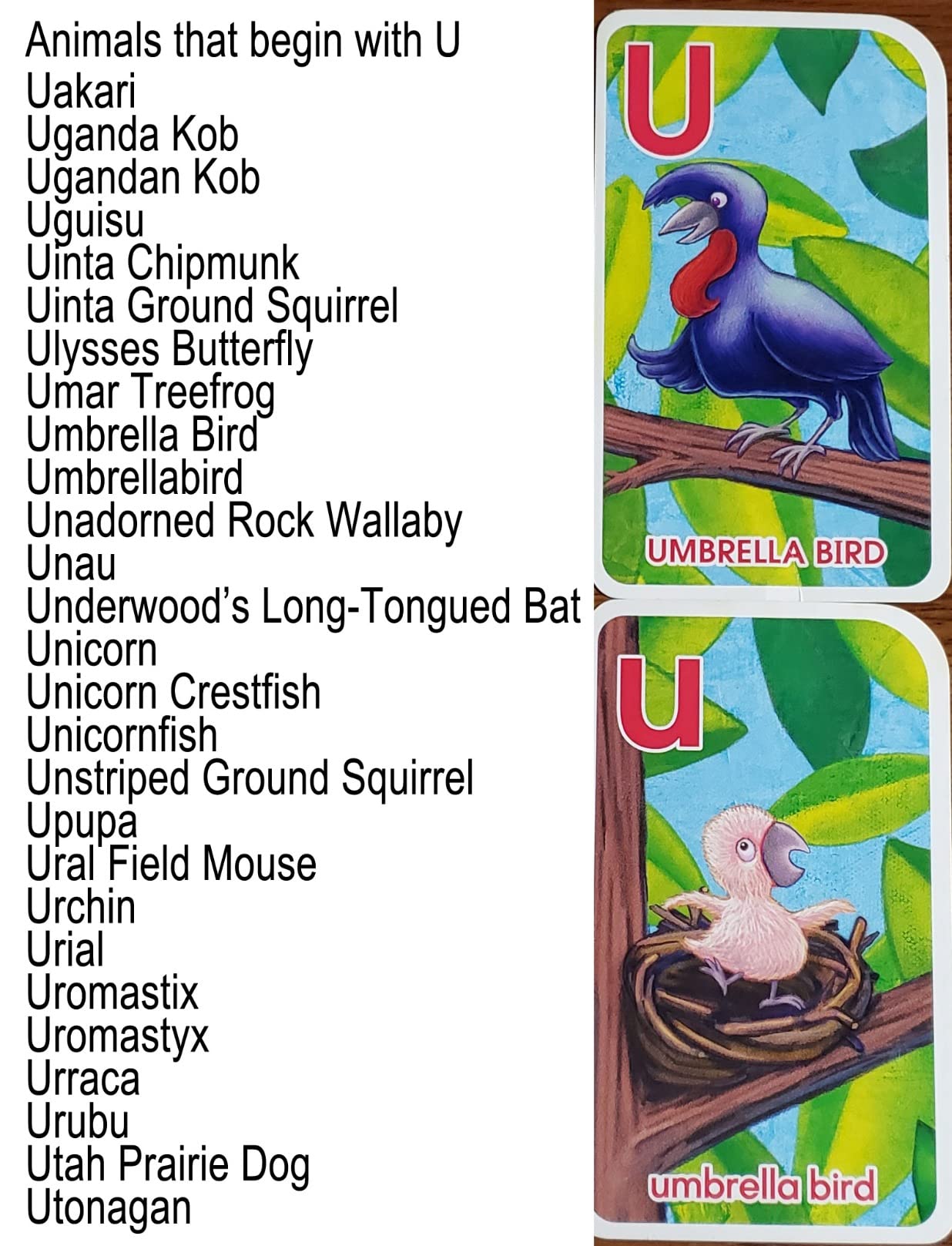 School Zone Go Fish Alphabet Game Cards: 56 ABC Flash Cards for Preschool & Kindergarten, Upper & Lowercase Letters, Phonics, Word-Picture Recognition, Parent & Baby Animals, Ages 4+ customer photo 1