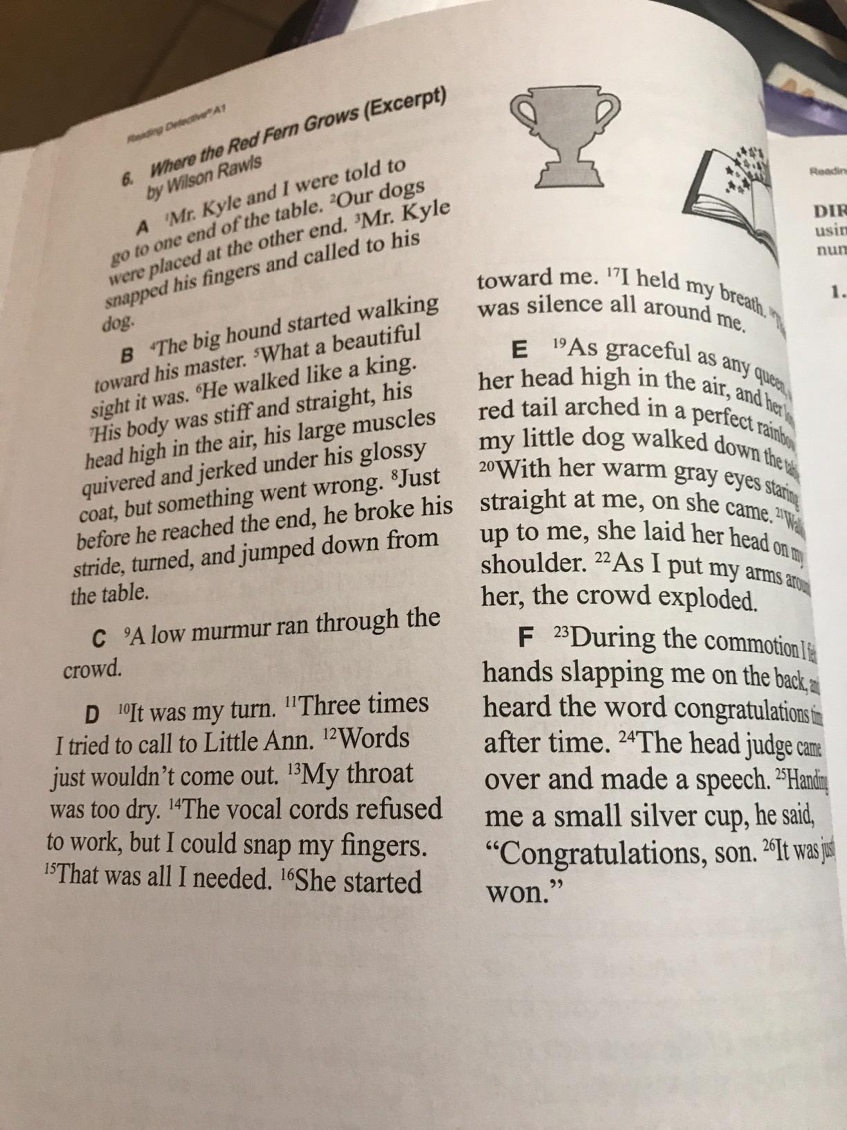Reading Detective A1 customer photo 2