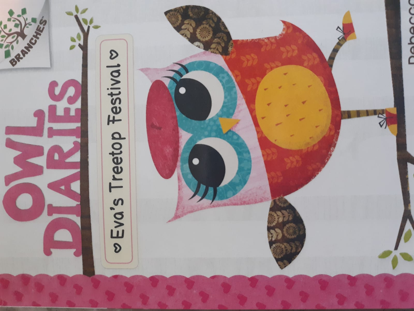 Owl Diaries, Books 1-5: A Branches Box Set customer photo 1