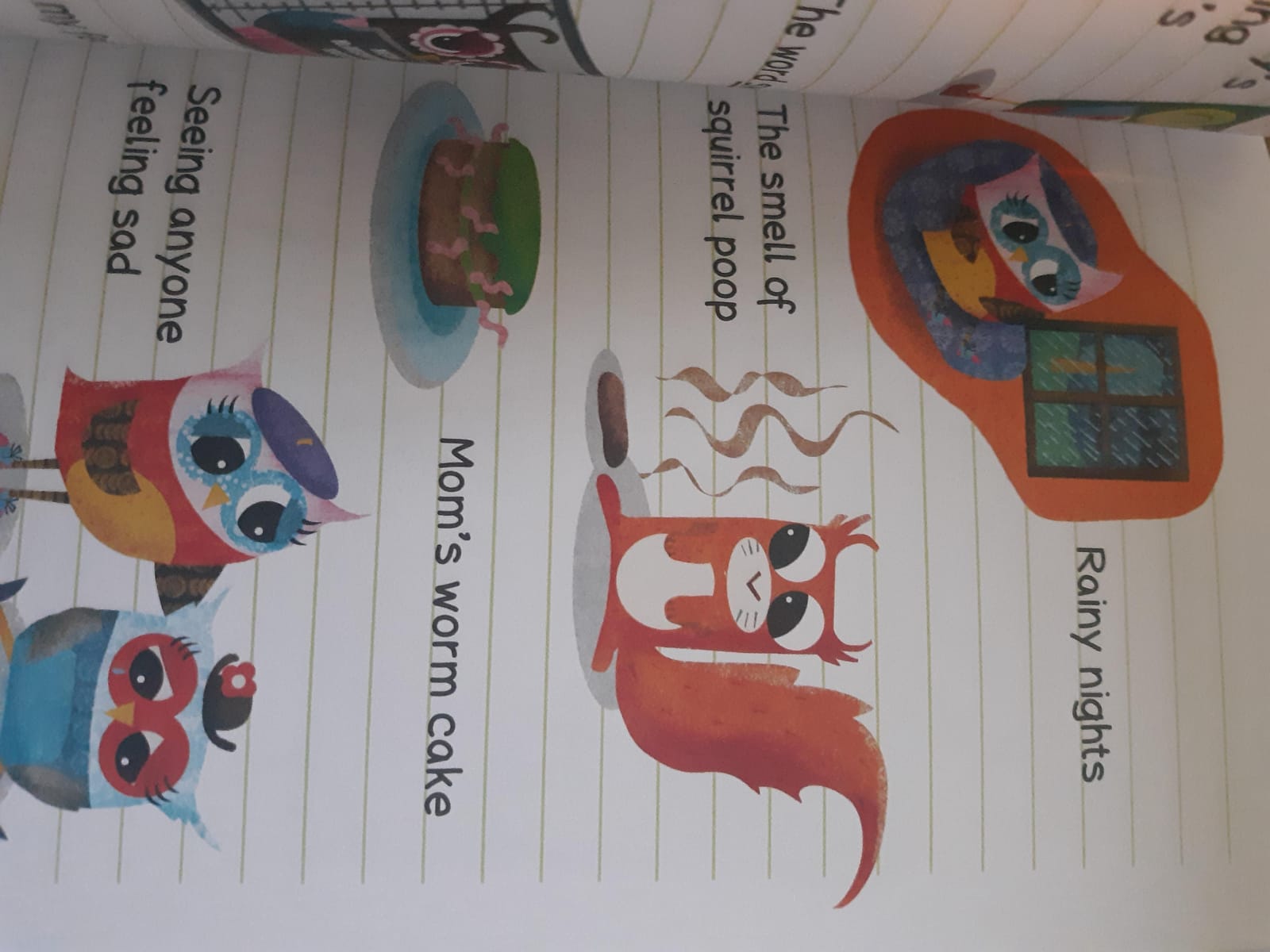 Owl Diaries, Books 1-5: A Branches Box Set customer photo 2