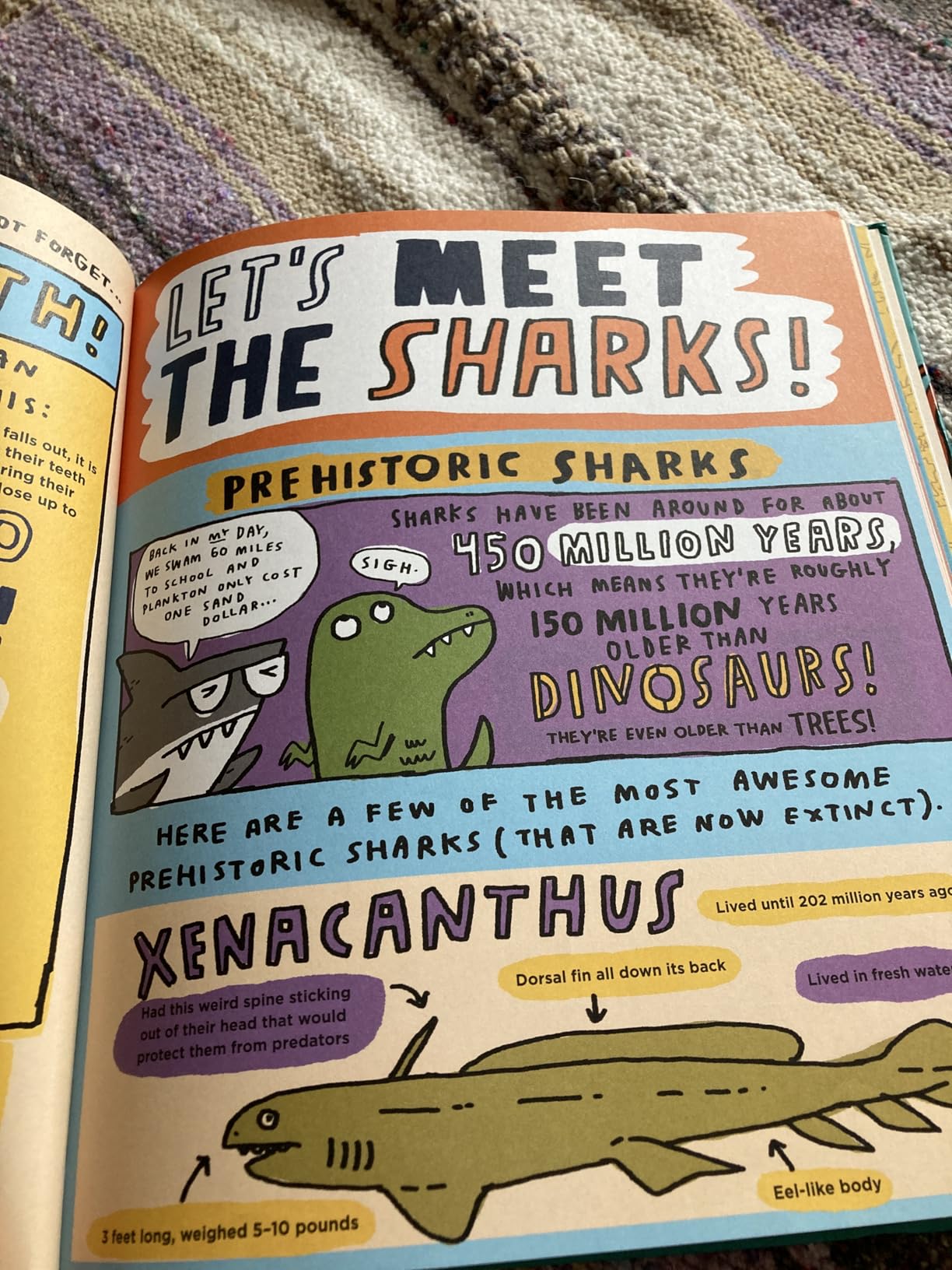 Everything Awesome About Sharks and Other Underwater Creatures! customer photo 2