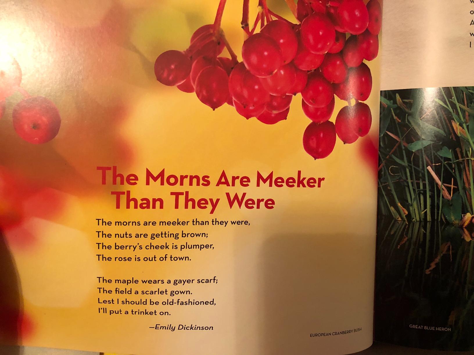 National Geographic Book of Nature Poetry: More than 200 Poems With Photographs That Float, Zoom, and Bloom! customer photo 1