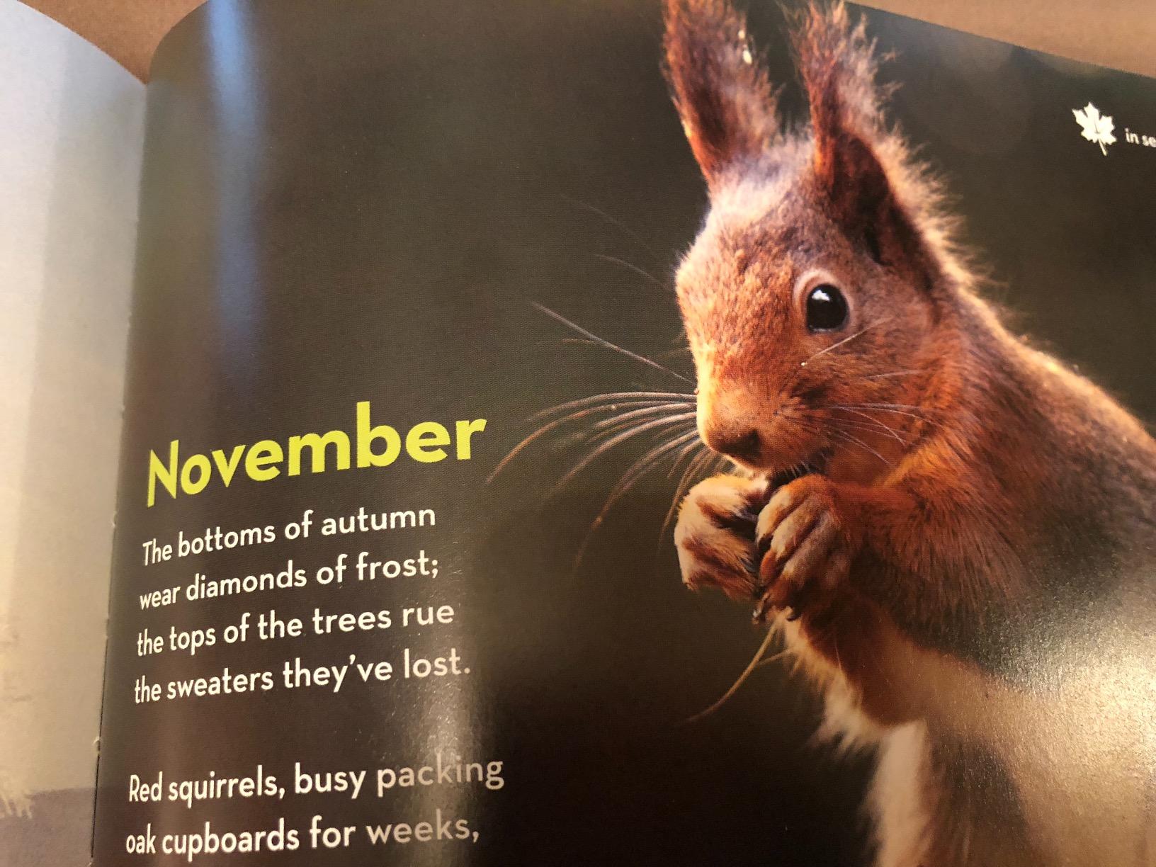 National Geographic Book of Nature Poetry: More than 200 Poems With Photographs That Float, Zoom, and Bloom! customer photo 2