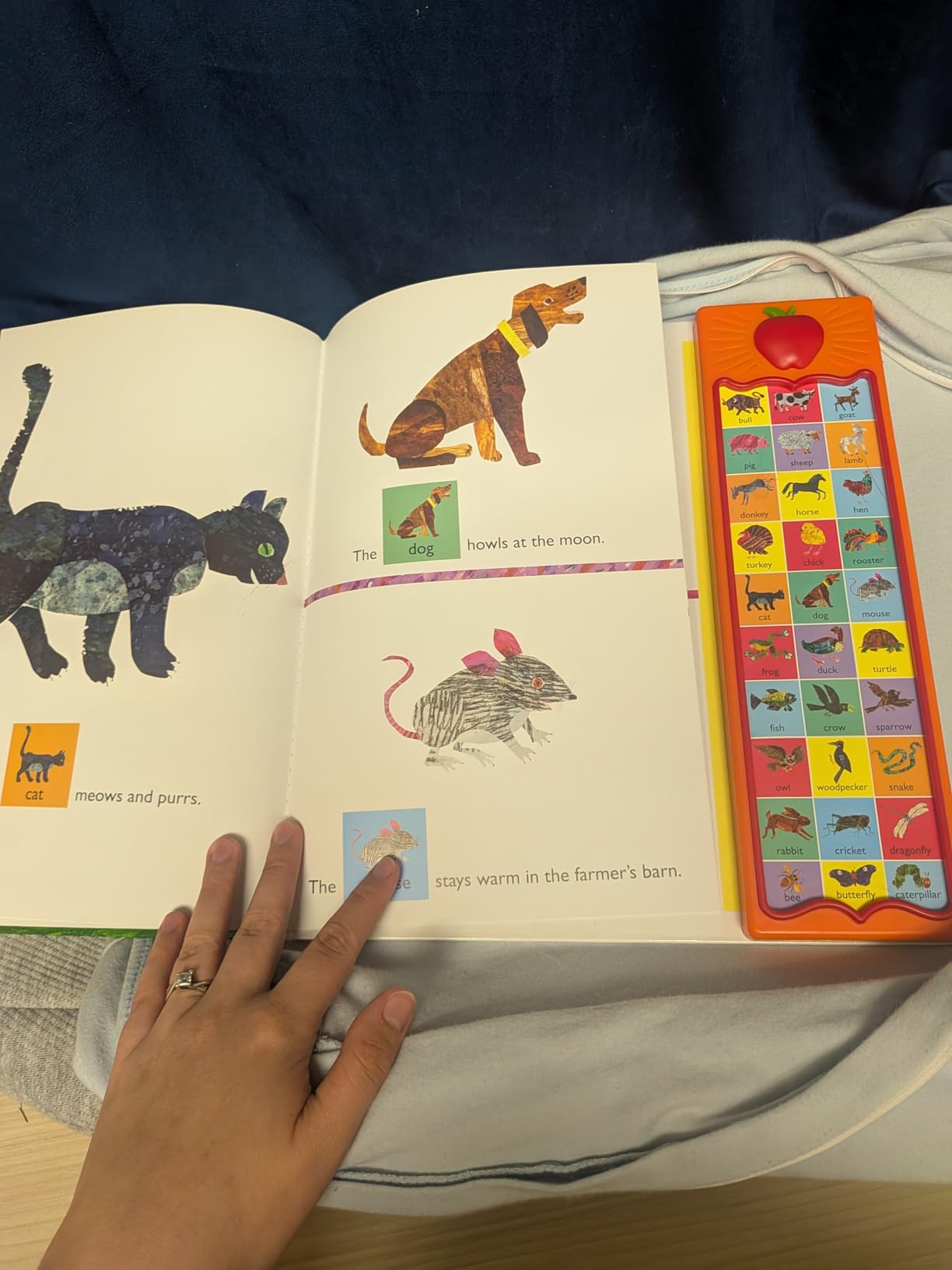 World of Eric Carle, Around the Farm 30-Button Animal Sound Book - Great for First Words - PI Kids customer photo 2