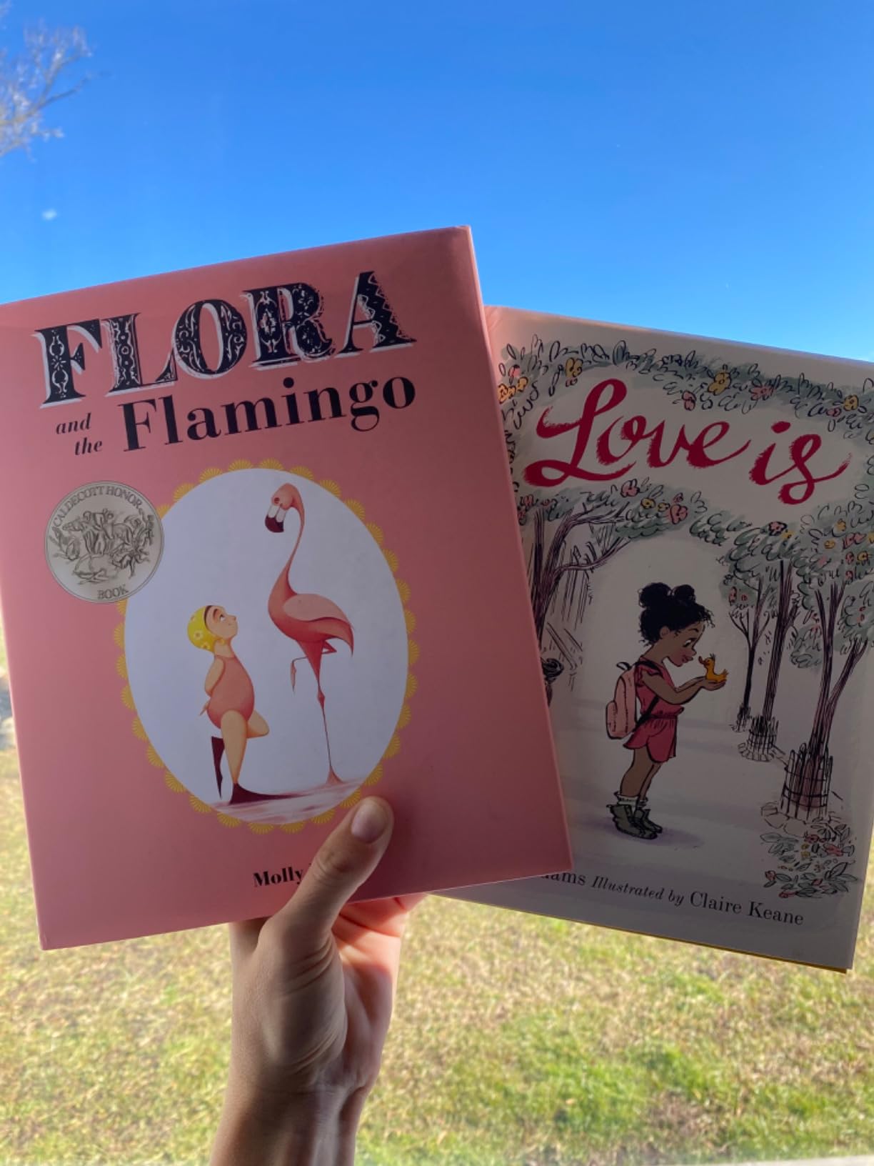 Flora and the Flamingo customer photo 1