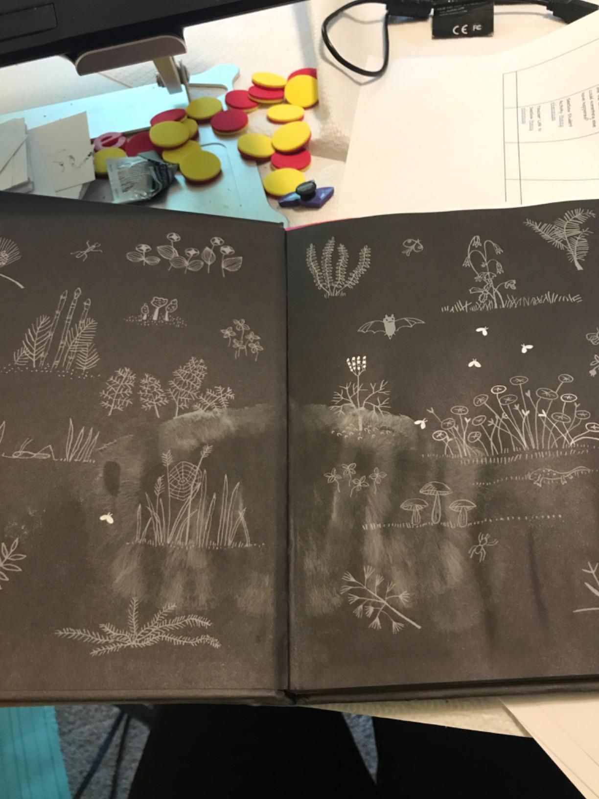 Flashlight: (Picture Books, Wordless Books for Kids, Camping Books for Kids, Bedtime Story Books, Children's Activity Books, Children's Nature Books) (Junior Library Guild Selection) customer photo 1