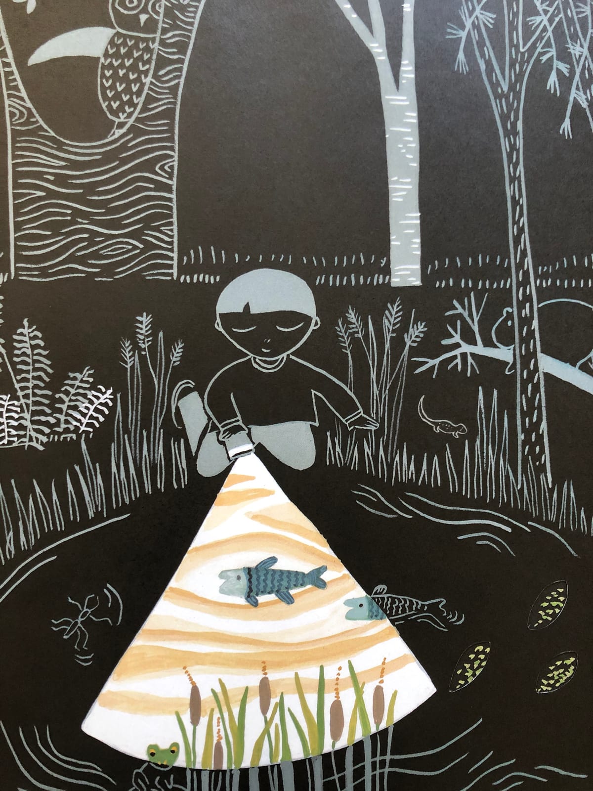 Flashlight: (Picture Books, Wordless Books for Kids, Camping Books for Kids, Bedtime Story Books, Children's Activity Books, Children's Nature Books) (Junior Library Guild Selection) customer photo 2