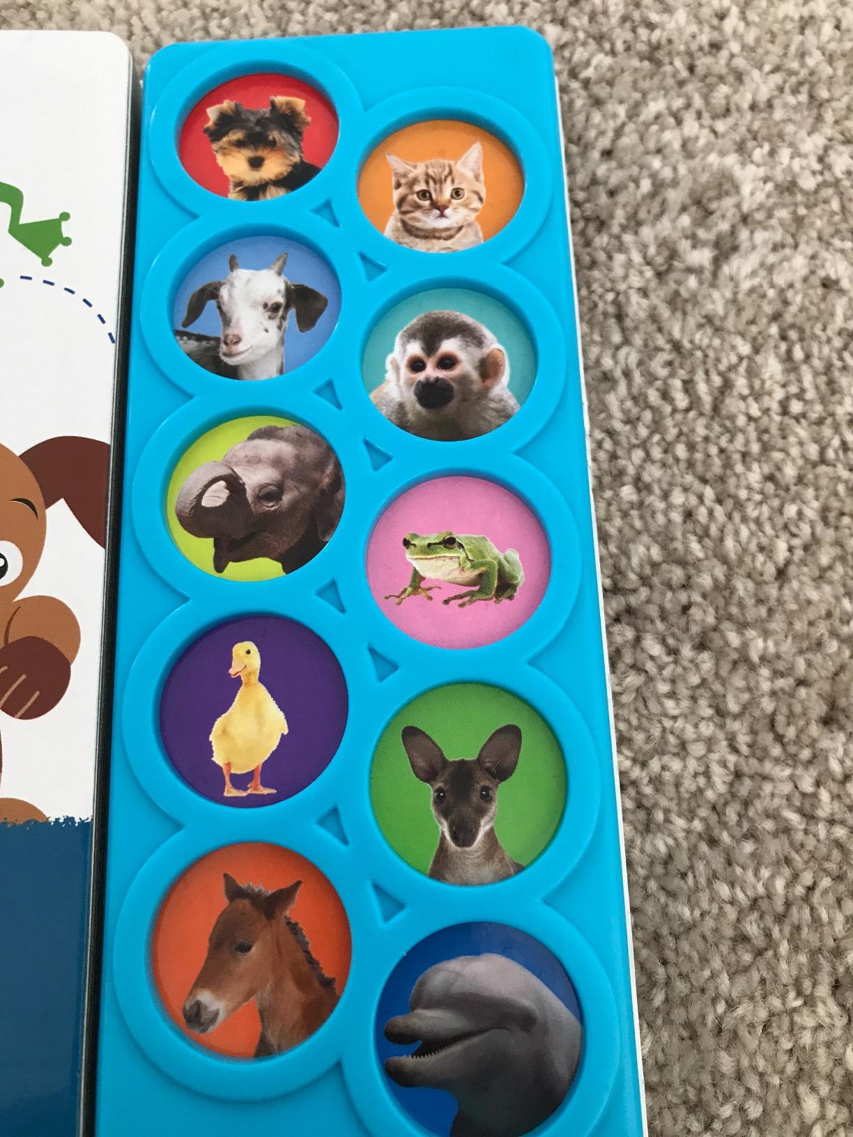 Baby Einstein - Amazing Animals 10-Button Sound Book - PI Kids (Play-A-Sound) customer photo 1