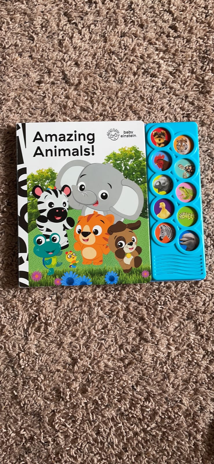 Baby Einstein - Amazing Animals 10-Button Sound Book - PI Kids (Play-A-Sound) customer photo 2