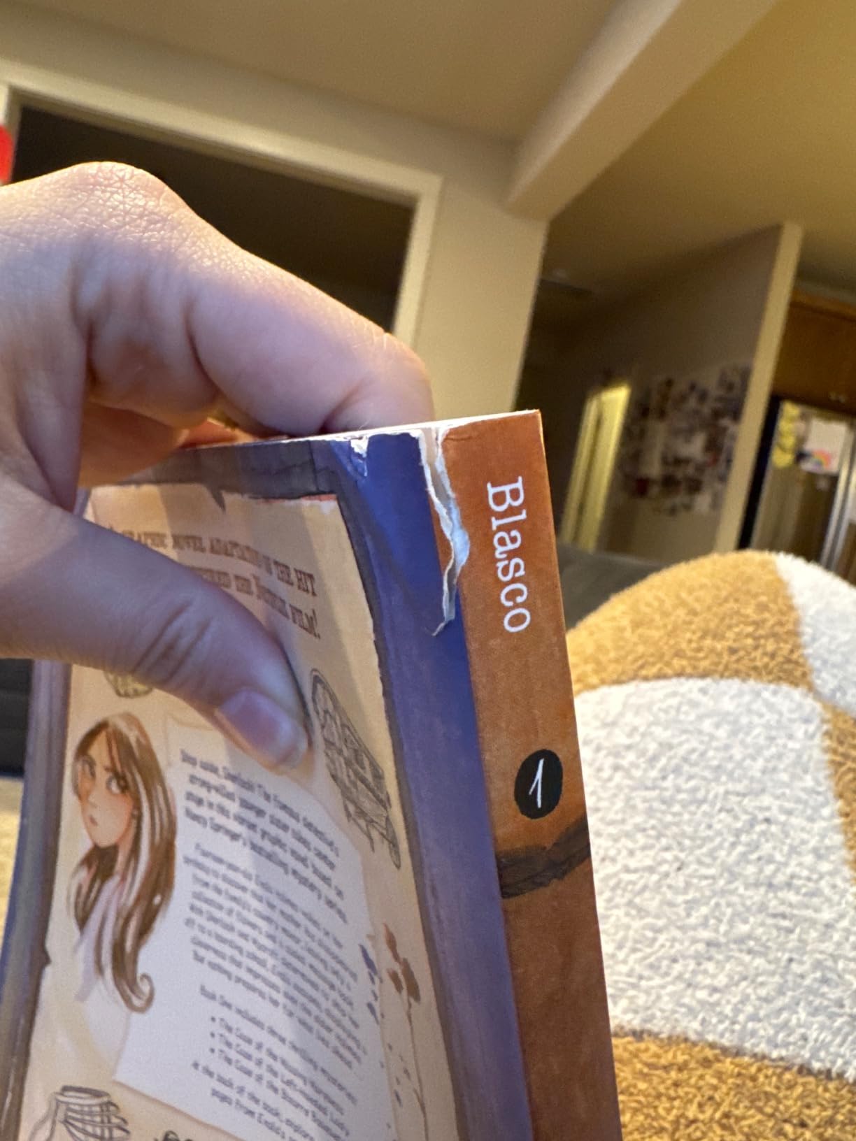 Enola Holmes: The Graphic Novels: The Case of the Missing Marquess, The Case of the Left-Handed Lady, and The Case of the Bizarre Bouquets (Volume 1) customer photo 1