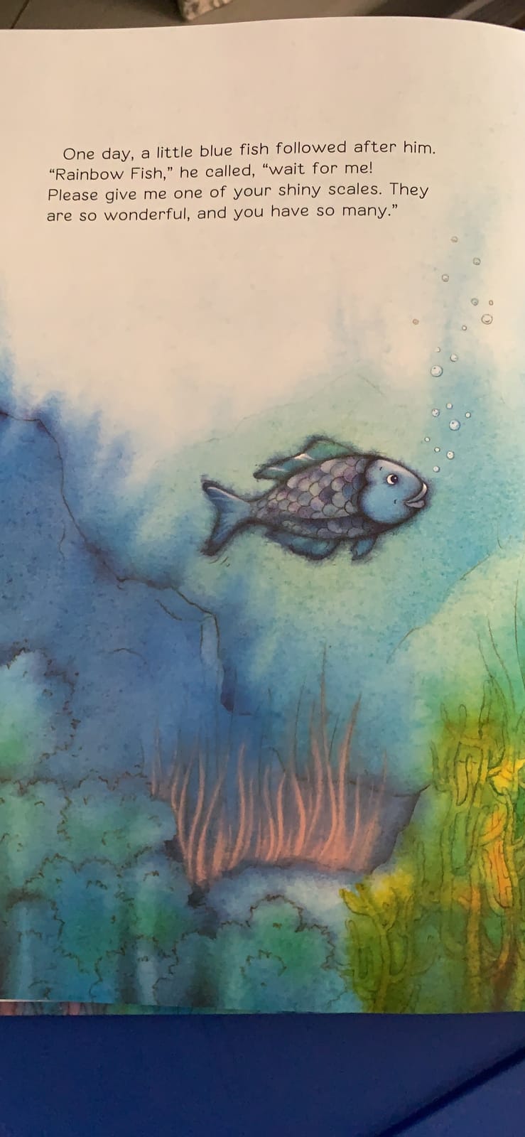The Rainbow Fish customer photo 2